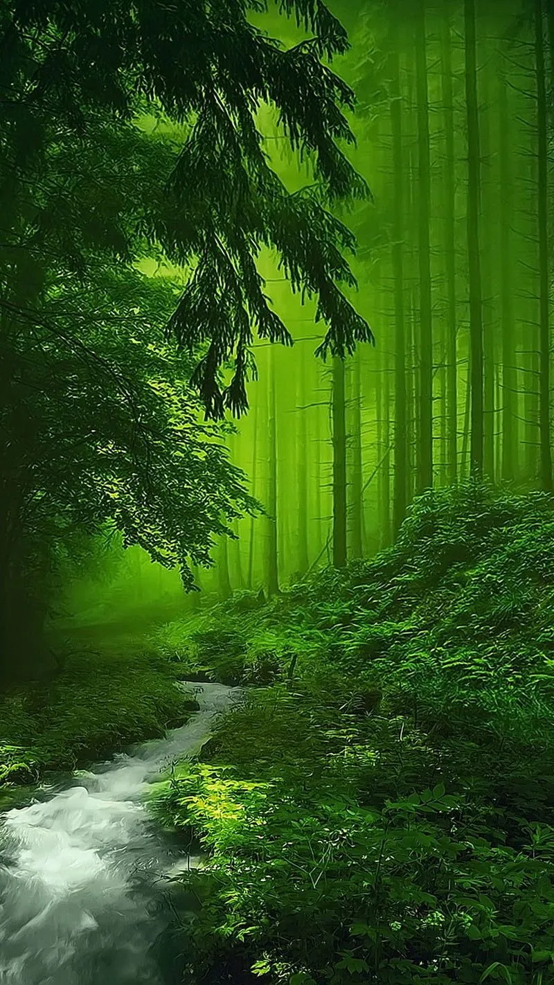 Fantasy forest, colors, fall, forest, green, mystic, HD phone wallpaper