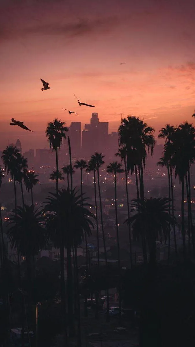 City Sunset iPhone Wallpaper