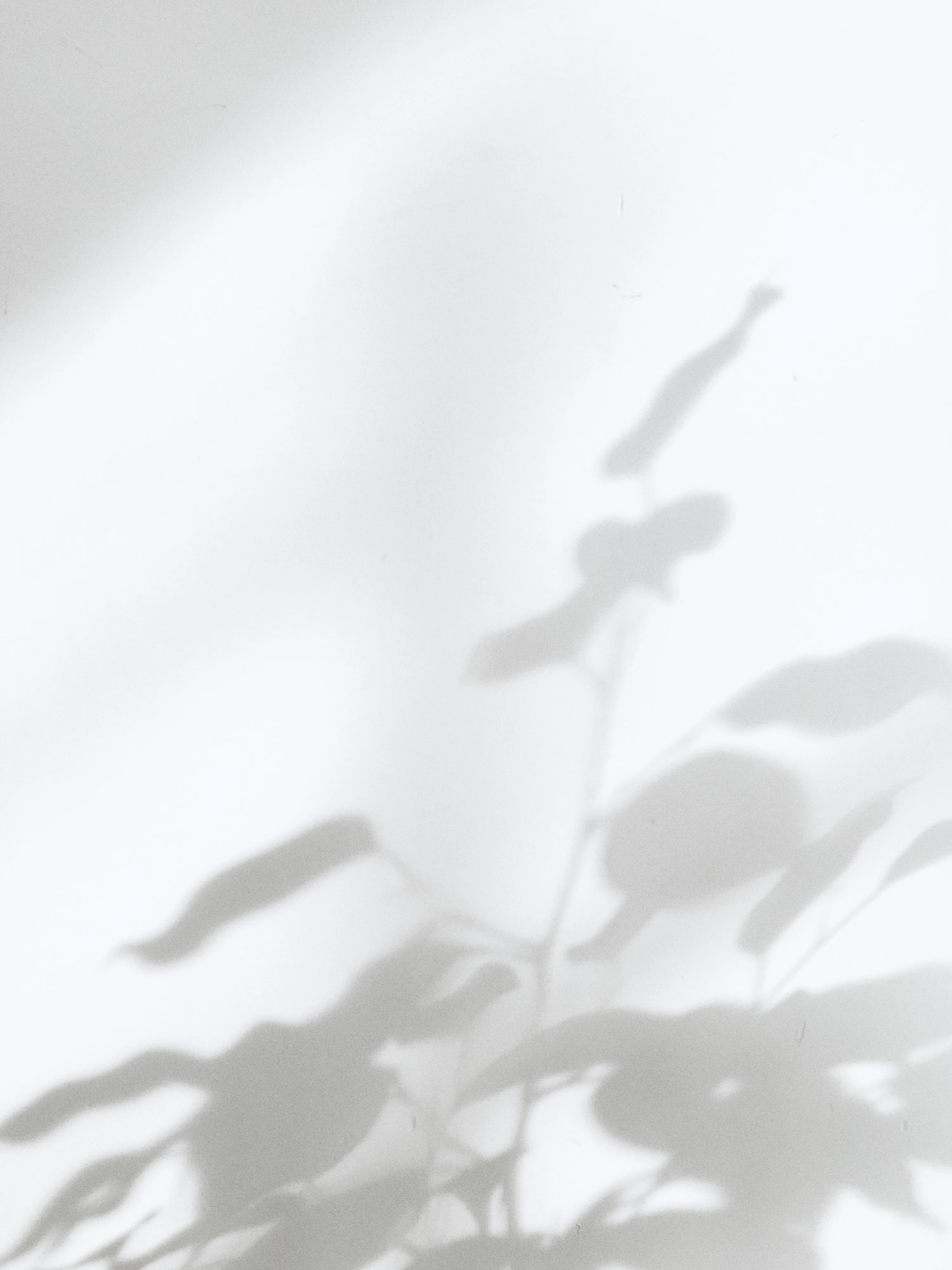White Aesthetic Picture. Download Free Image