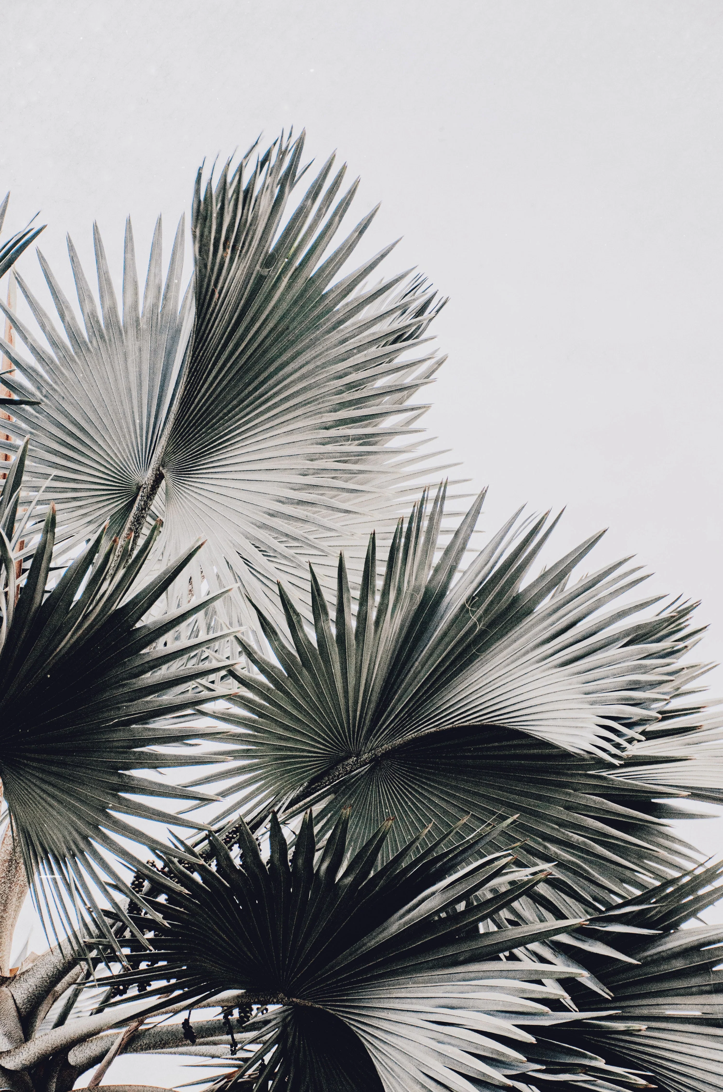 White Aesthetic Picture. Download Free Image