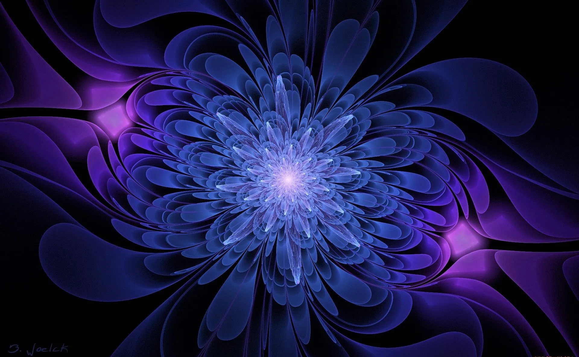 Wallpaper flowers, graphics, black background, blue and purple color for mobile and desktop, section абстракции, resolution 1920x1183