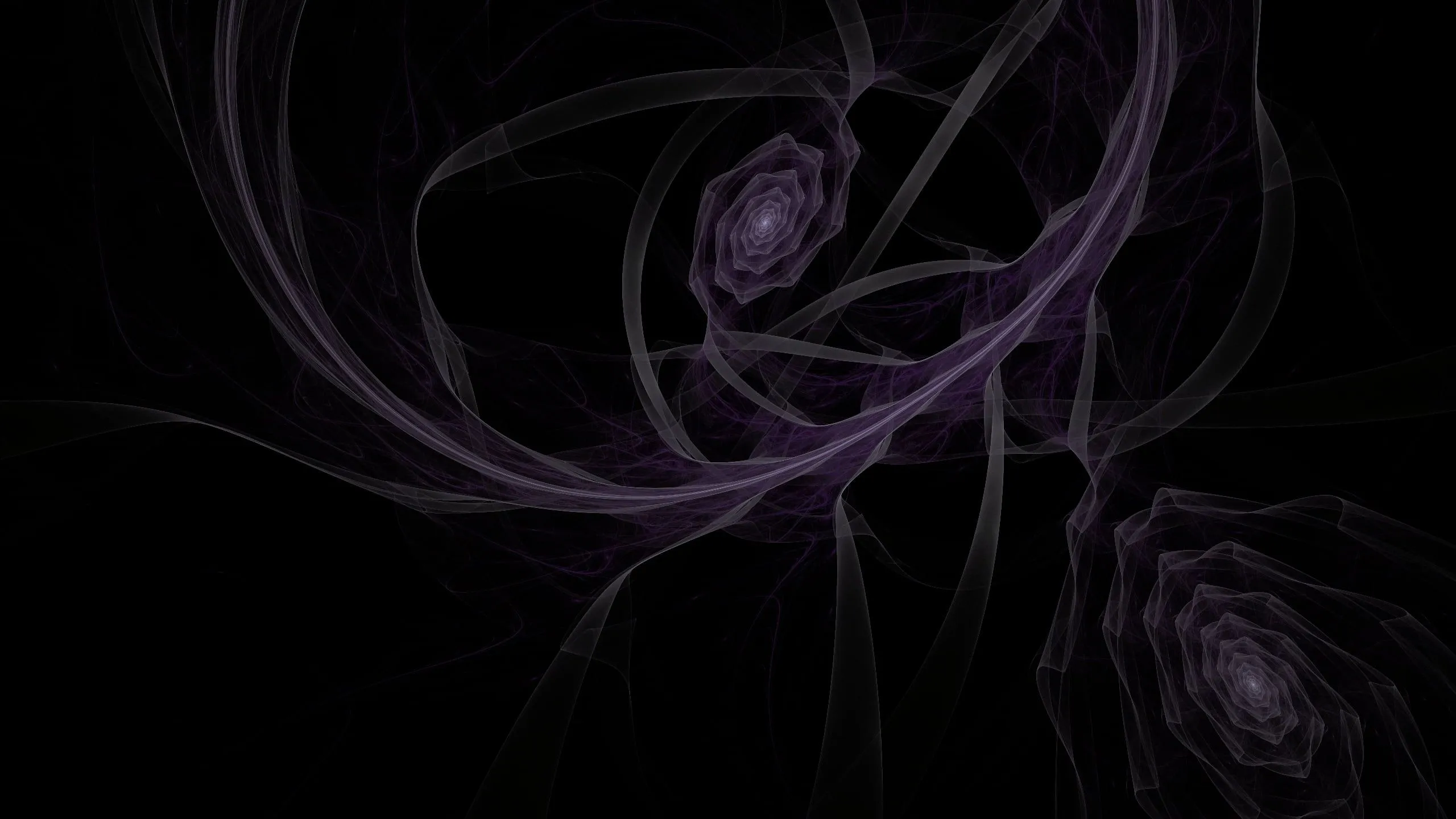 Illustration purple and black floral wallpaper HD wallpaper