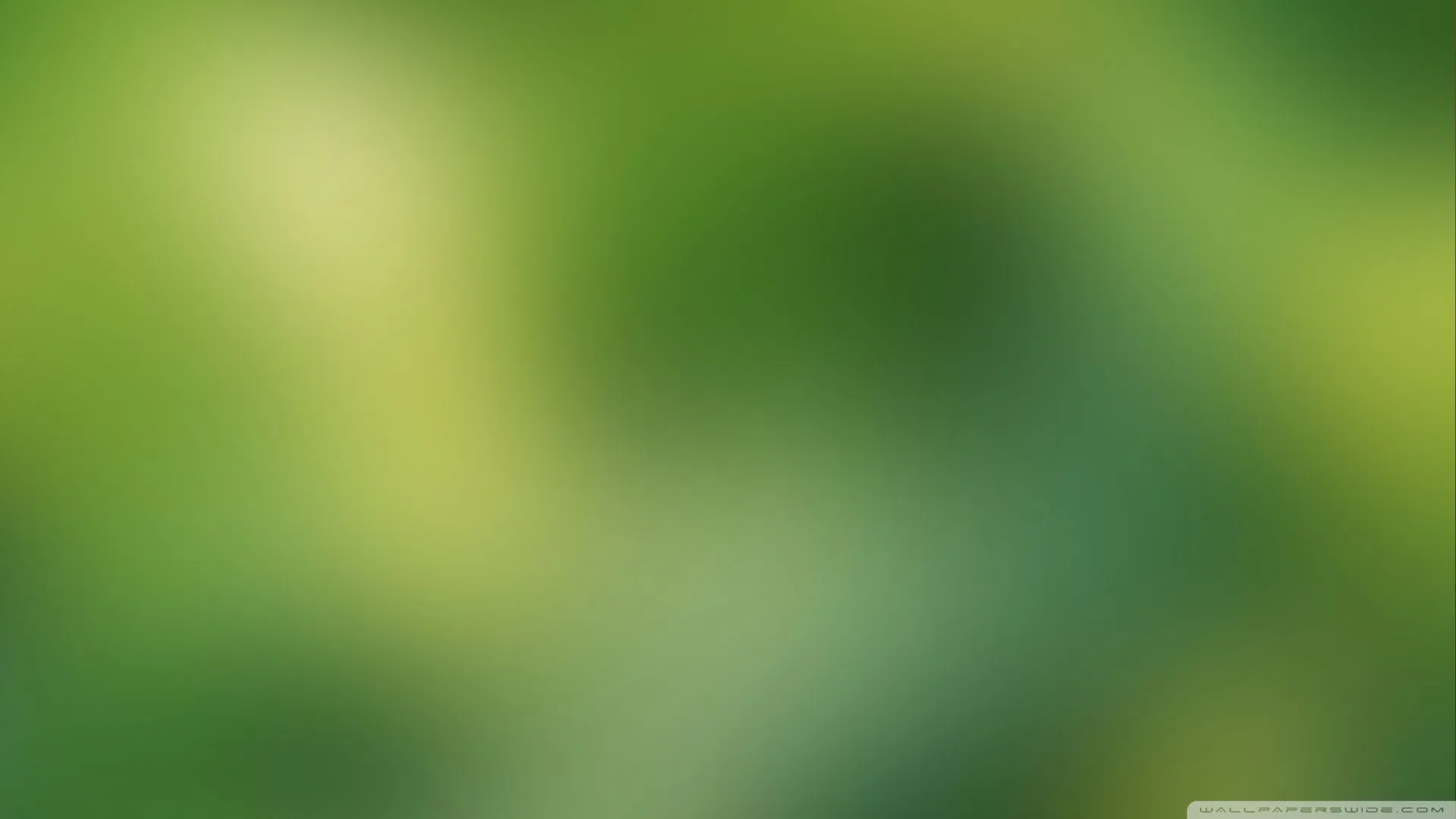 Minimalist Green Background 4K UHD Wallpaper for UltraHD Desktop and TV, Smartphone and Tablet Devices