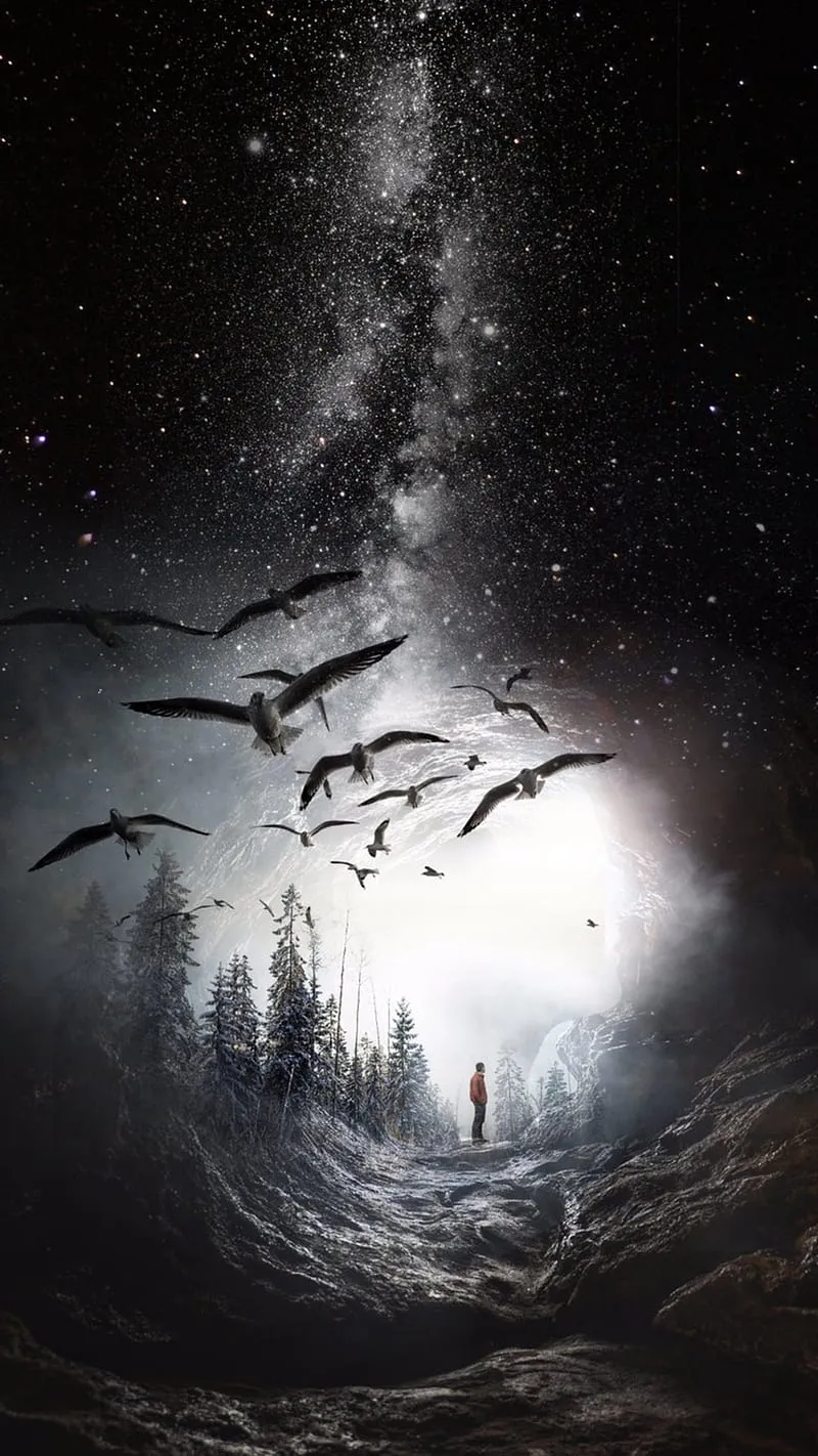 Best Walpaper, art, artwork, bird, artificial, stars, original, phone, wall, HD phone wallpaper