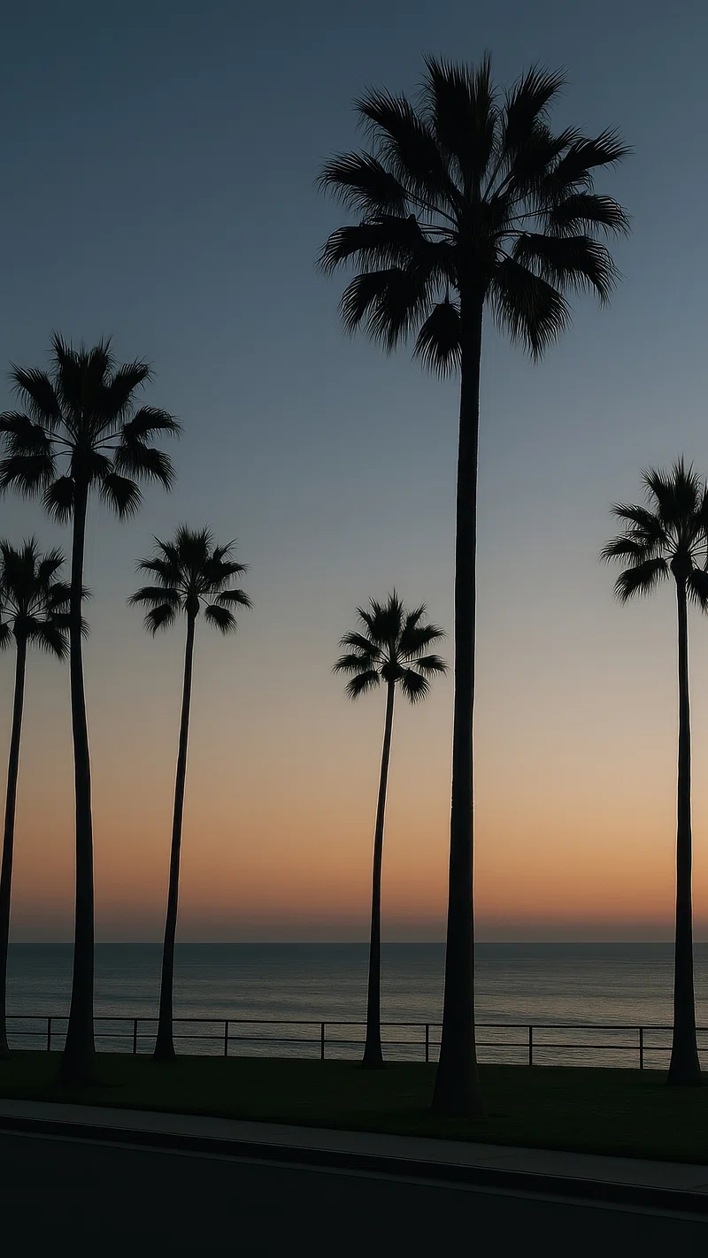 iPhone Wallpaper Beach California Photo Image Wallpaper