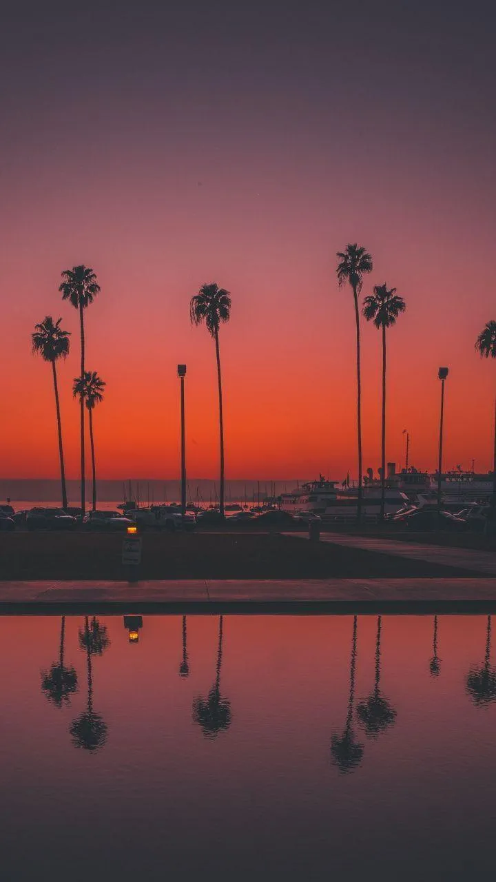 San Diego Phone Wallpaper