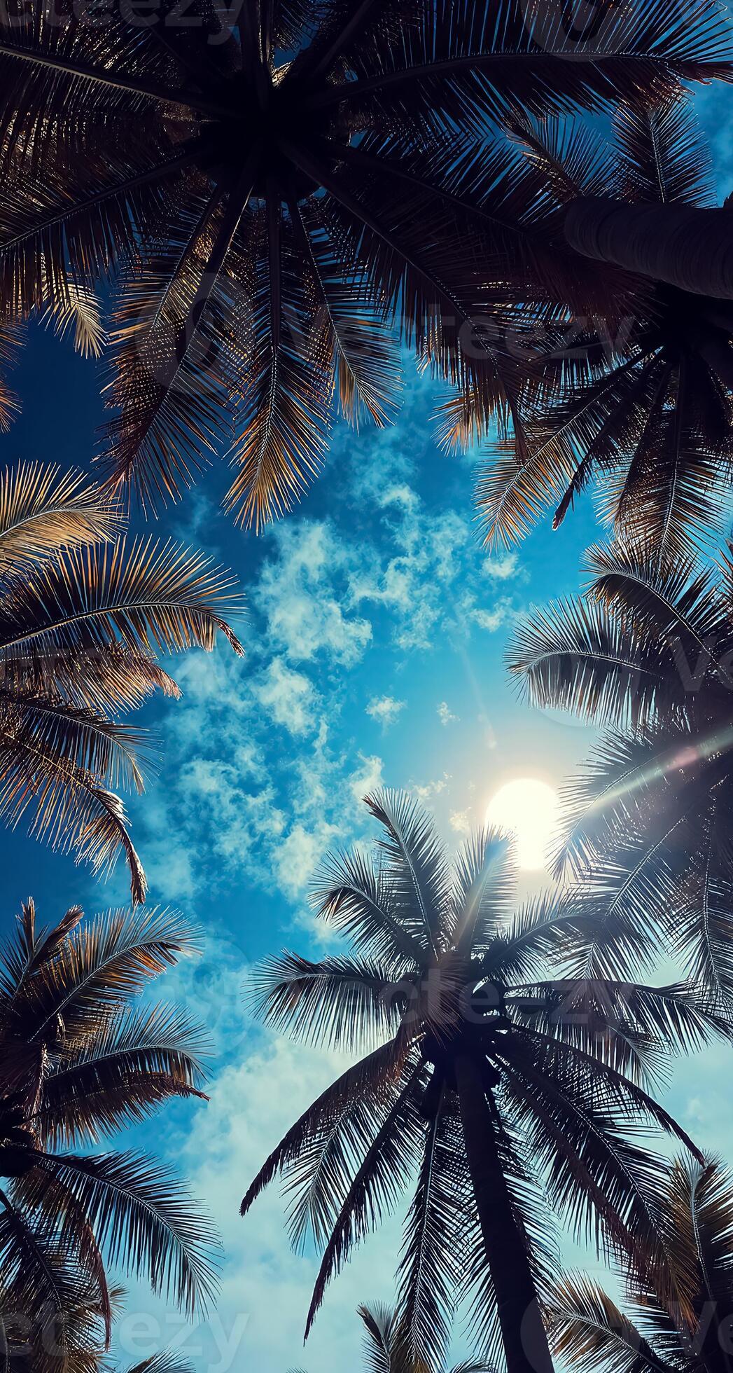 Vibrant Phone Wallpaper to Personalize Your Screen