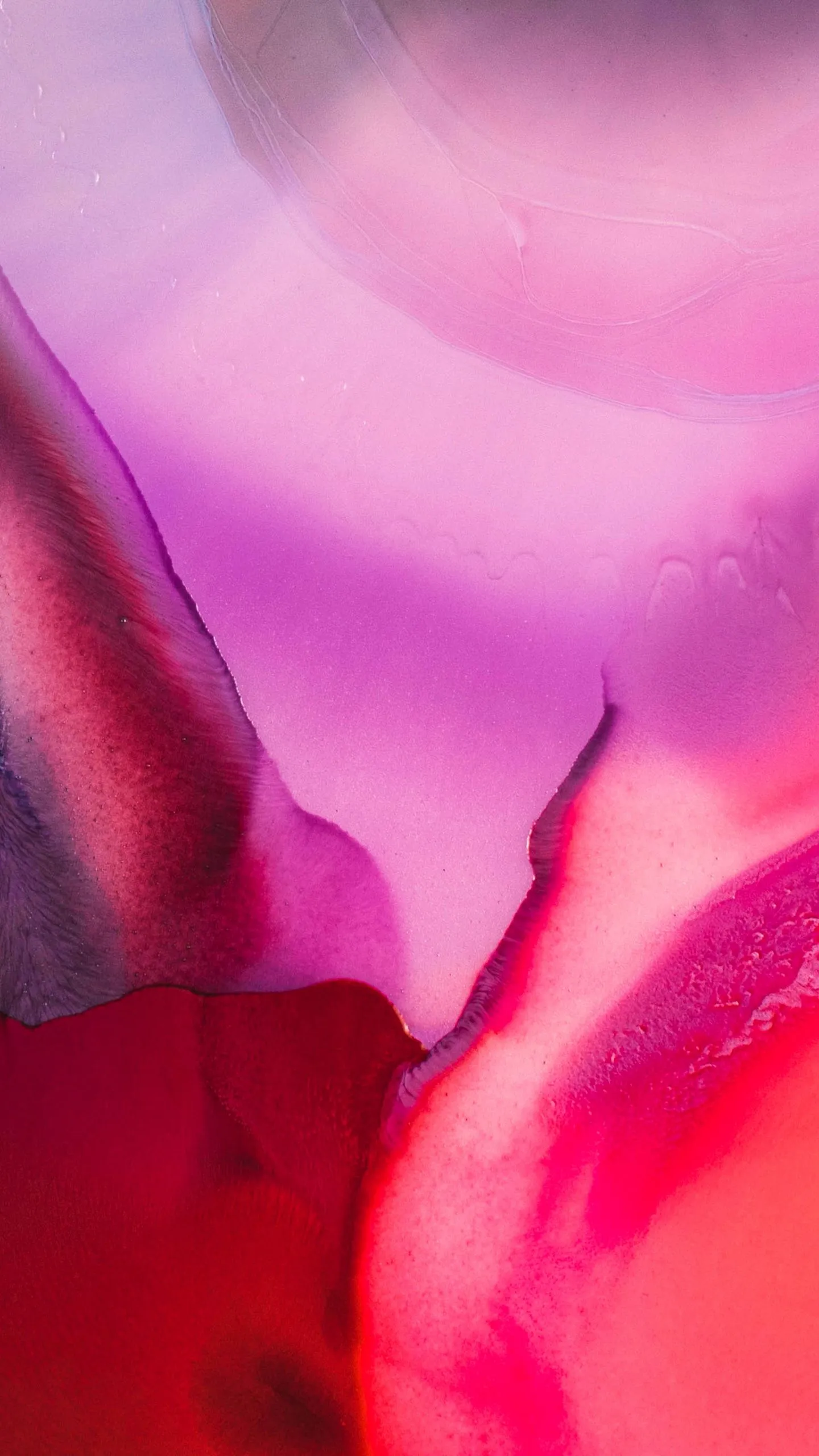 Fluid abstract Wallpaper 4K, Vibrant, Pink abstract, 5K