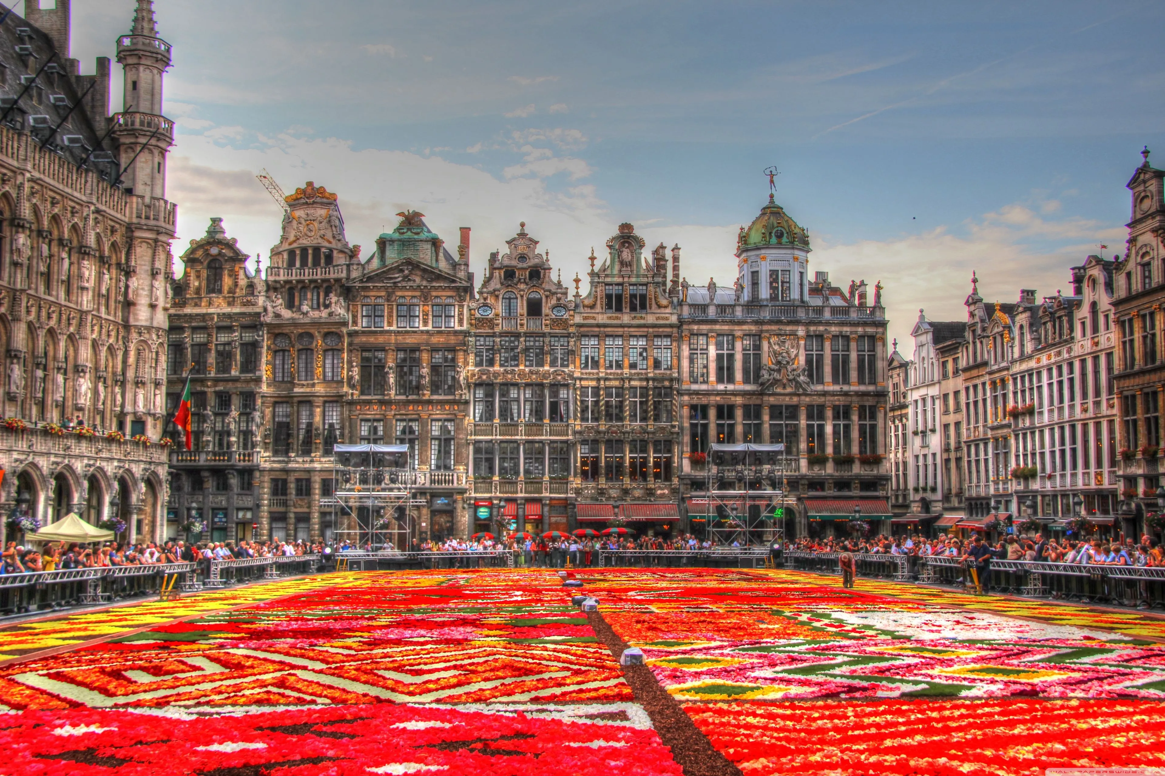 Flower Carpet Place, Belgium 4K UHD Wallpaper for UltraHD Desktop and TV, Widescreen and UltraWide Display, Smartphone and Tablet Devices