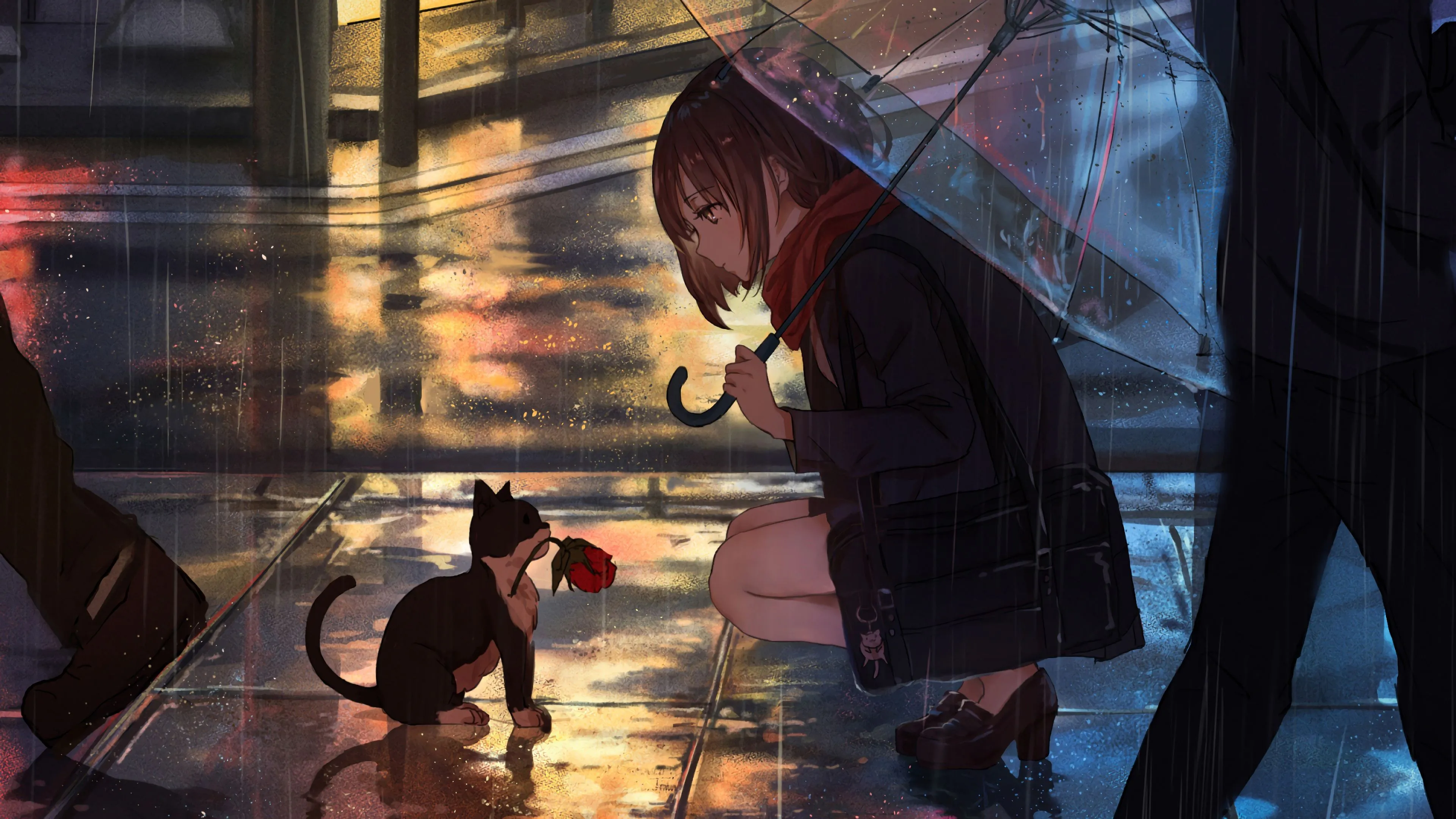 Anime Girl Raining Cat 4K Wallpaper HD