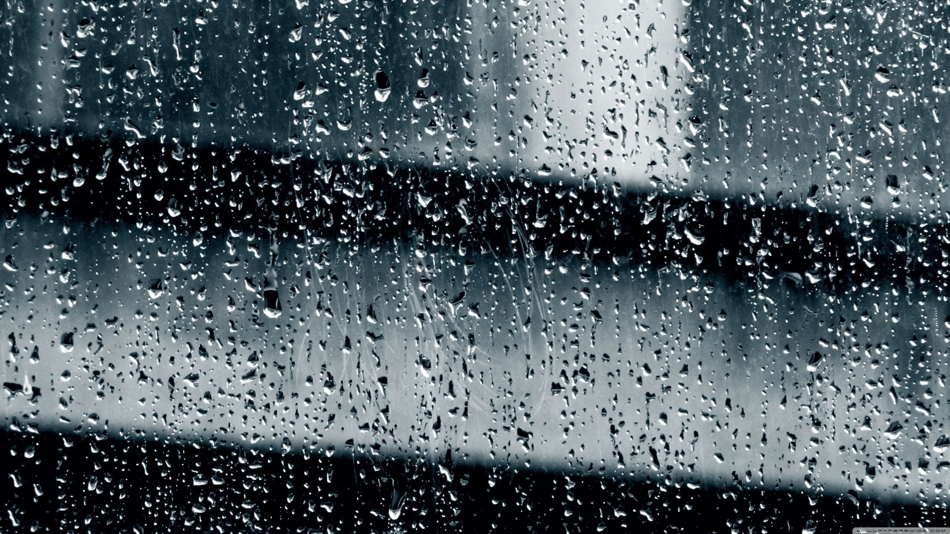 Rainy with Birds Computer Wallpaper, HD Background on WallpaperBat