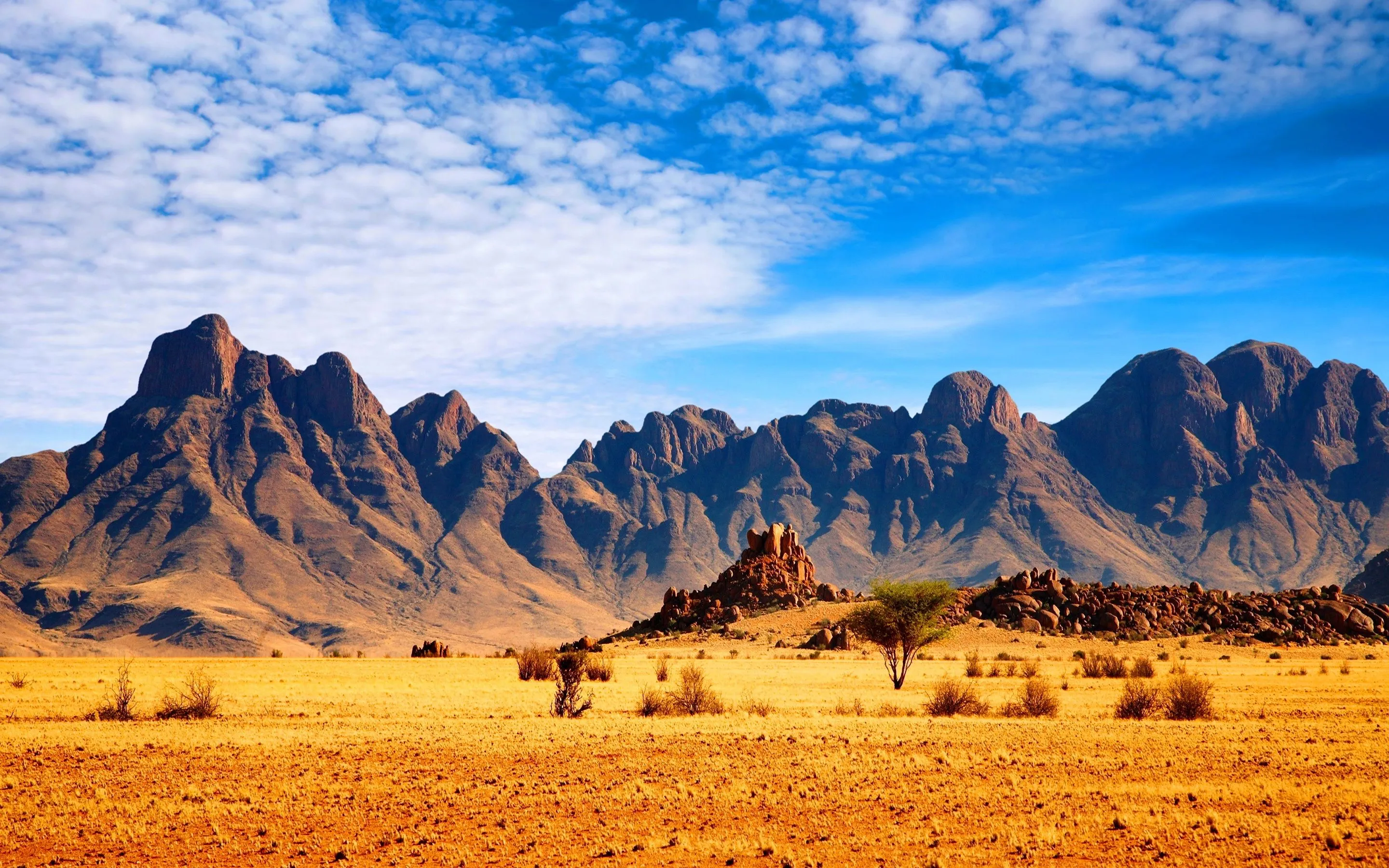 Desktop wallpaper: Earth, Savannah, Africa, Mountain 4K free download for PC. 761242