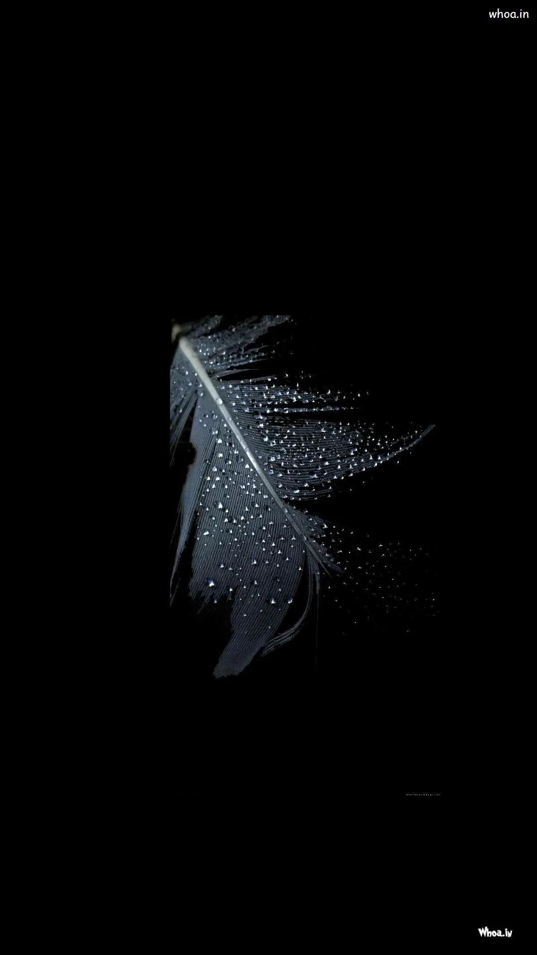 Black Mobile Wallpaper Unique, Dark Mobile Background Pic