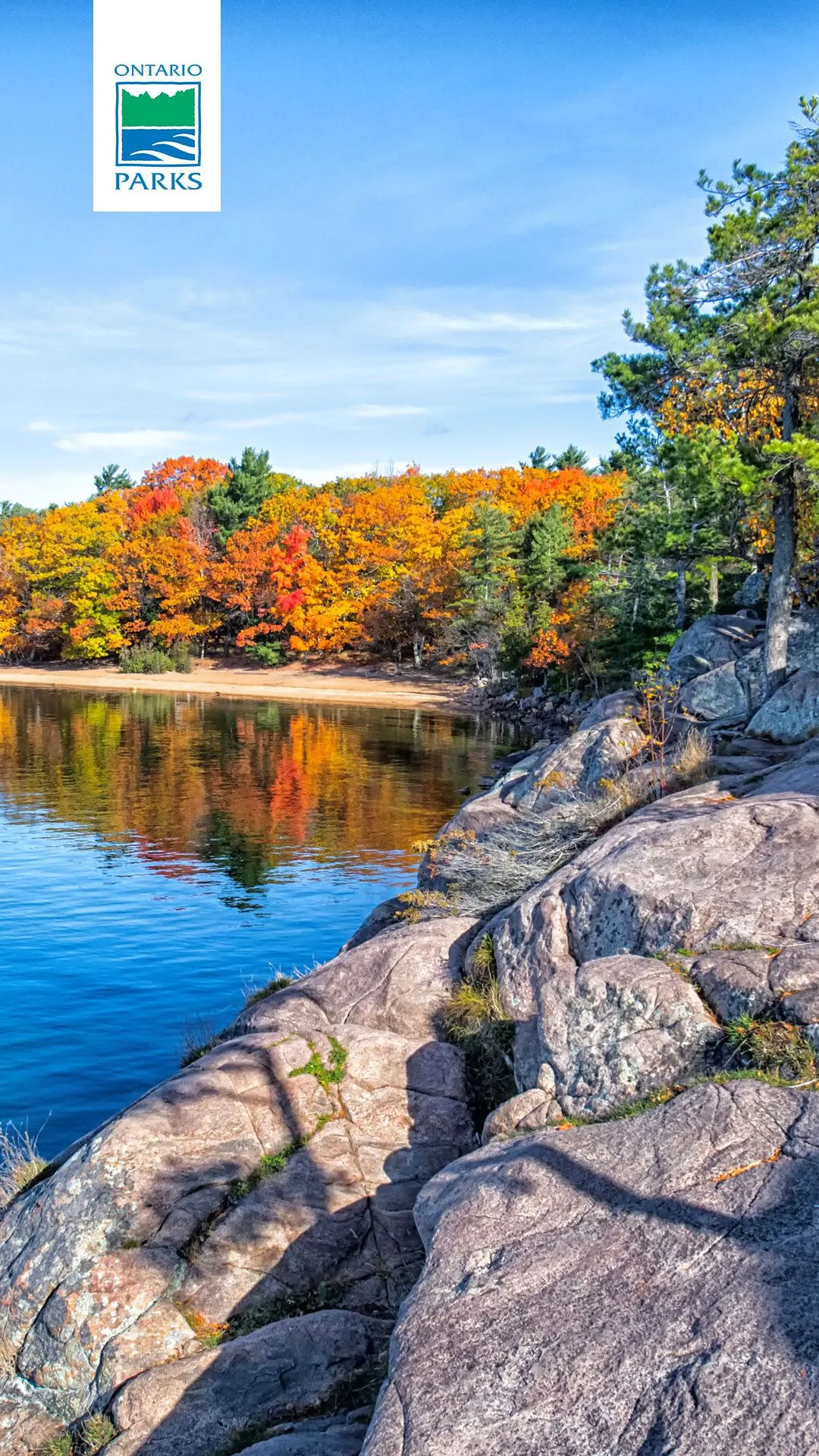 October's digital download Parks Blog