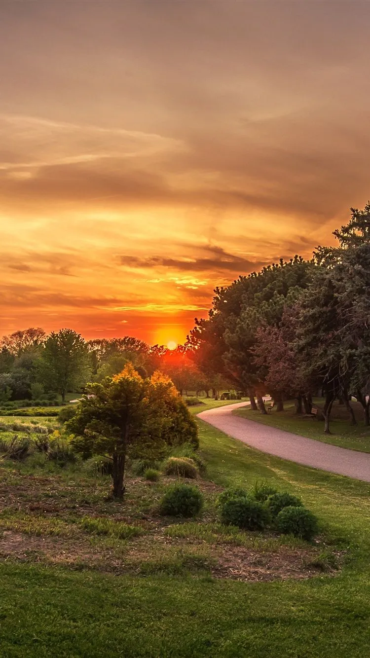 St. Catharines, Ontario, Canada, Park, Trees, Road, Grass, Sunset 1080x1920 IPhone 8 7 6 6S Plus Wallpaper, Background, Picture, Image
