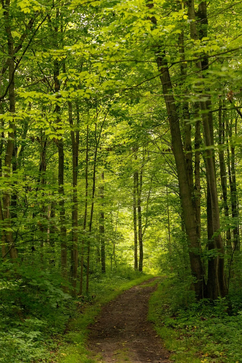 YARMOUTH NATURAL HERITAGE AREA • Ontario Nature Trails