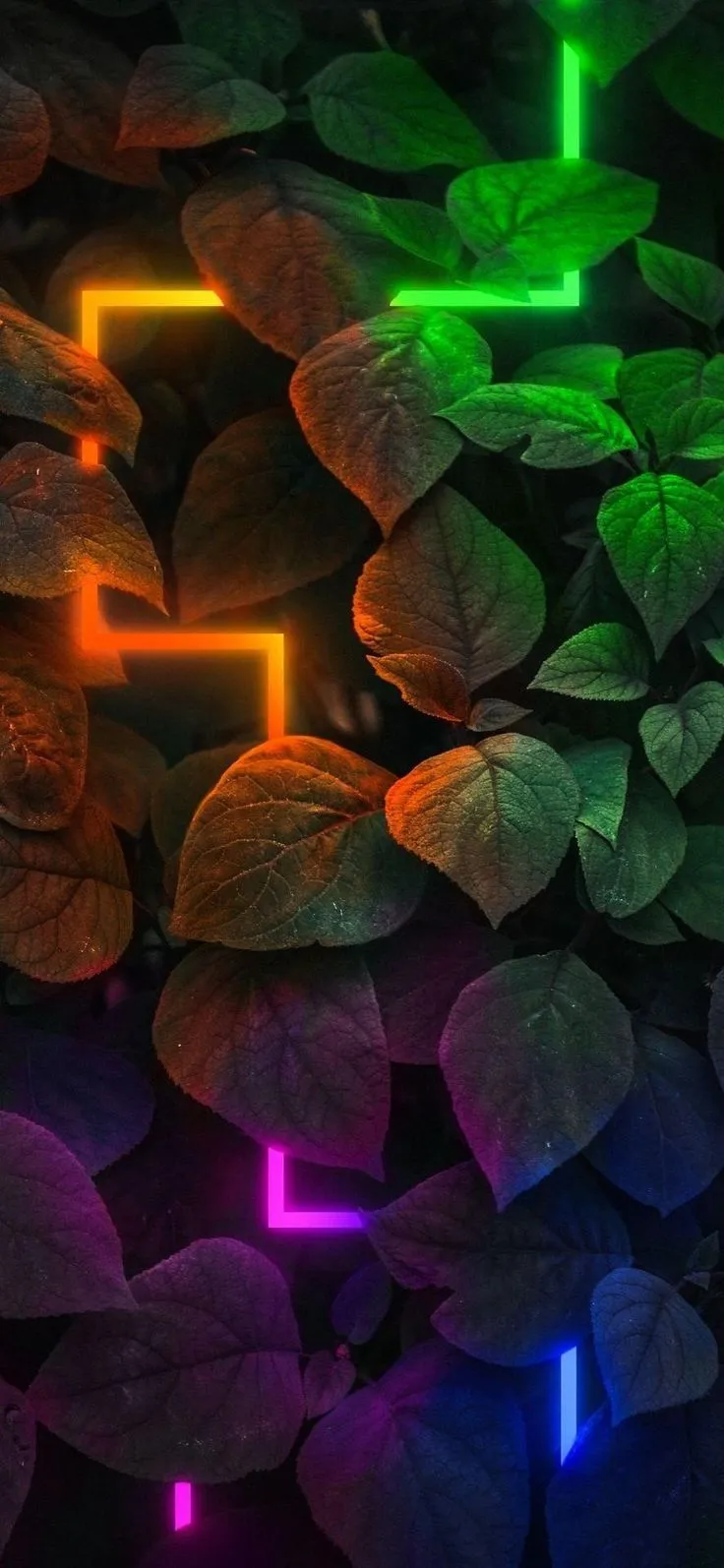 Hd wallpaper, phone background, HD phone background, iPhone wallpaper, iPhone wallpaper, phone wa