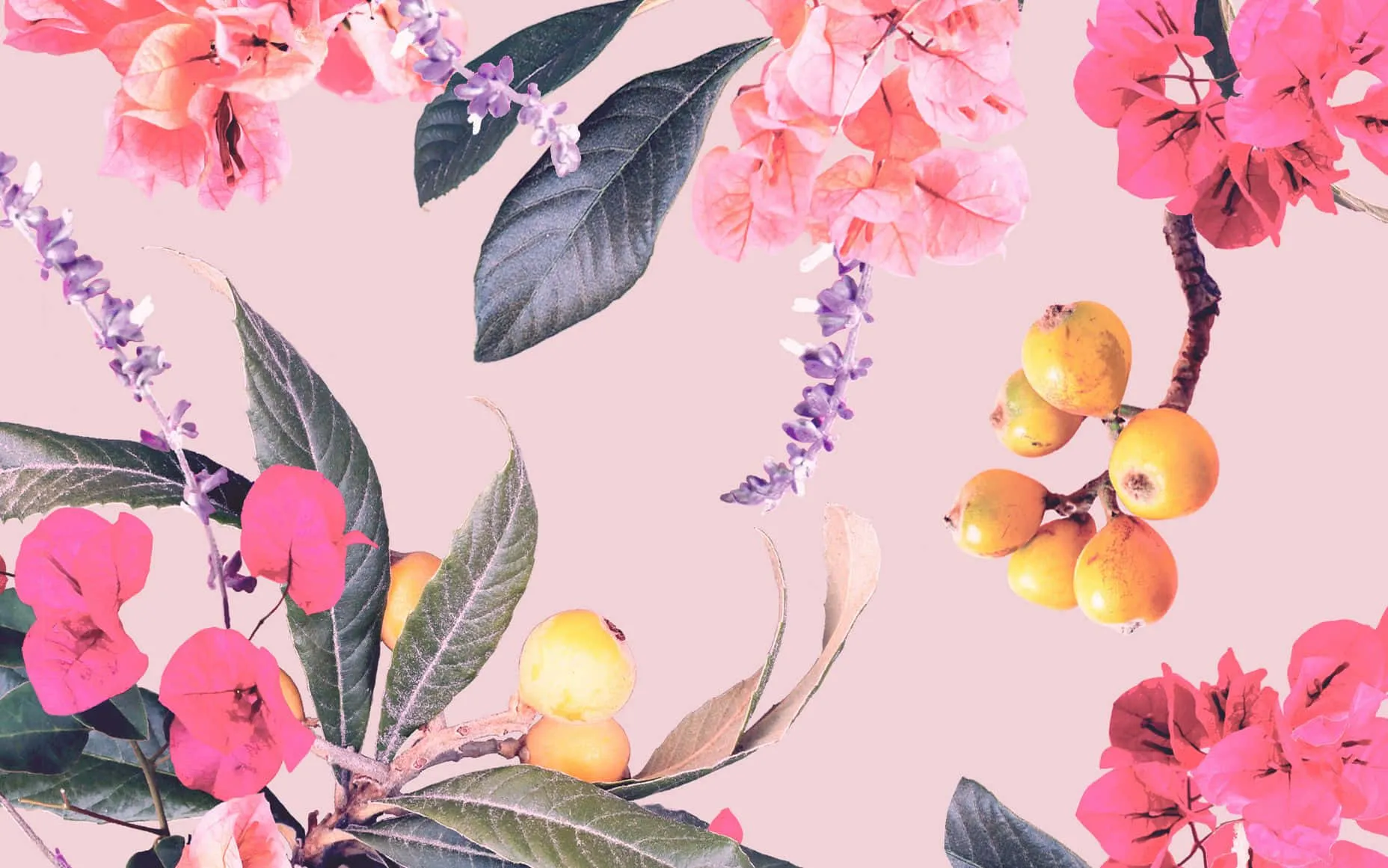 Download A Pink And Yellow Floral Pattern On A Pink Background Wallpaper