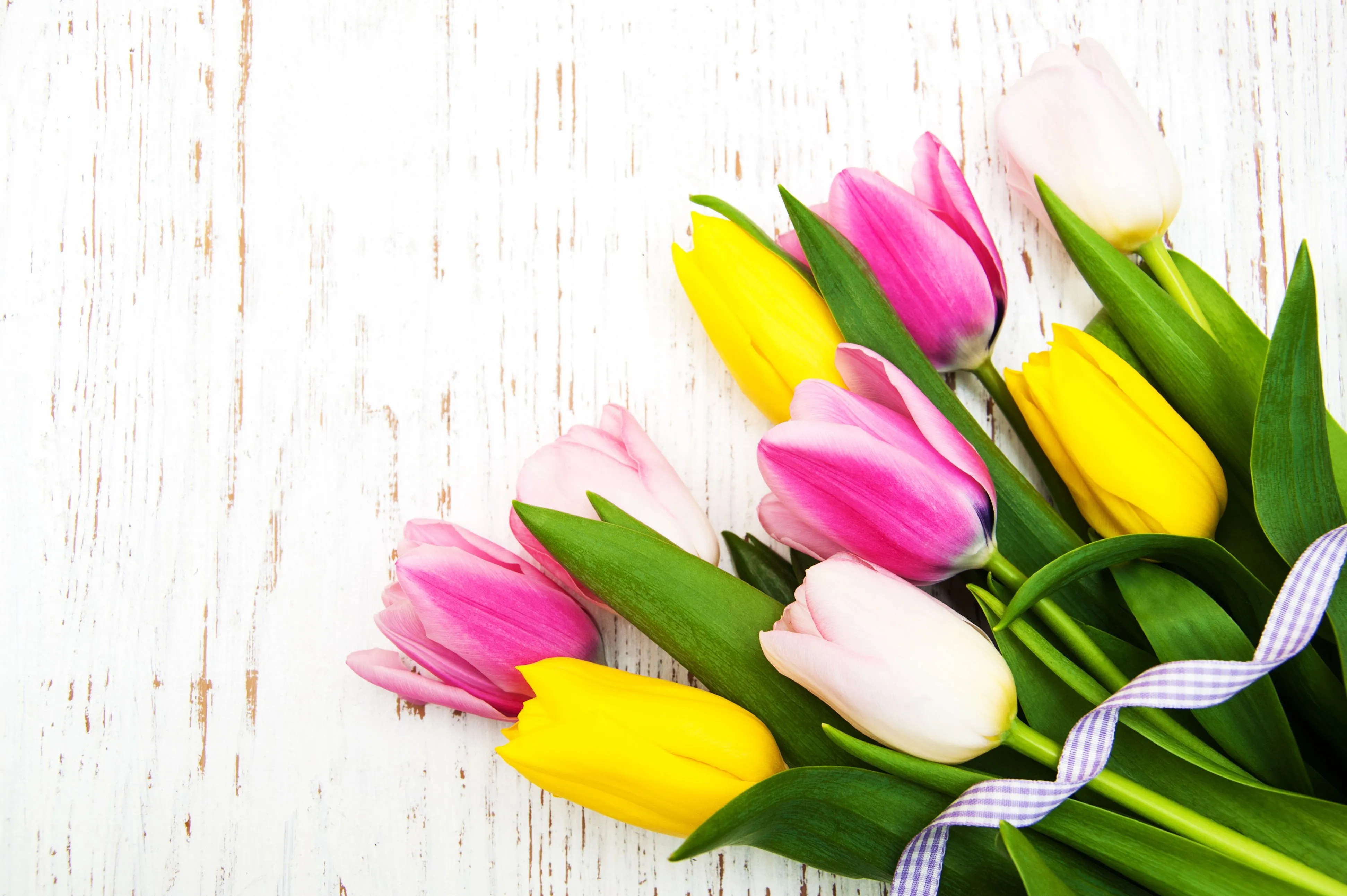 Wallpaper white, yellow, background, bouquet, tape, tulips, pink, tulips for mobile and desktop, section цветы, resolution 3886x2586