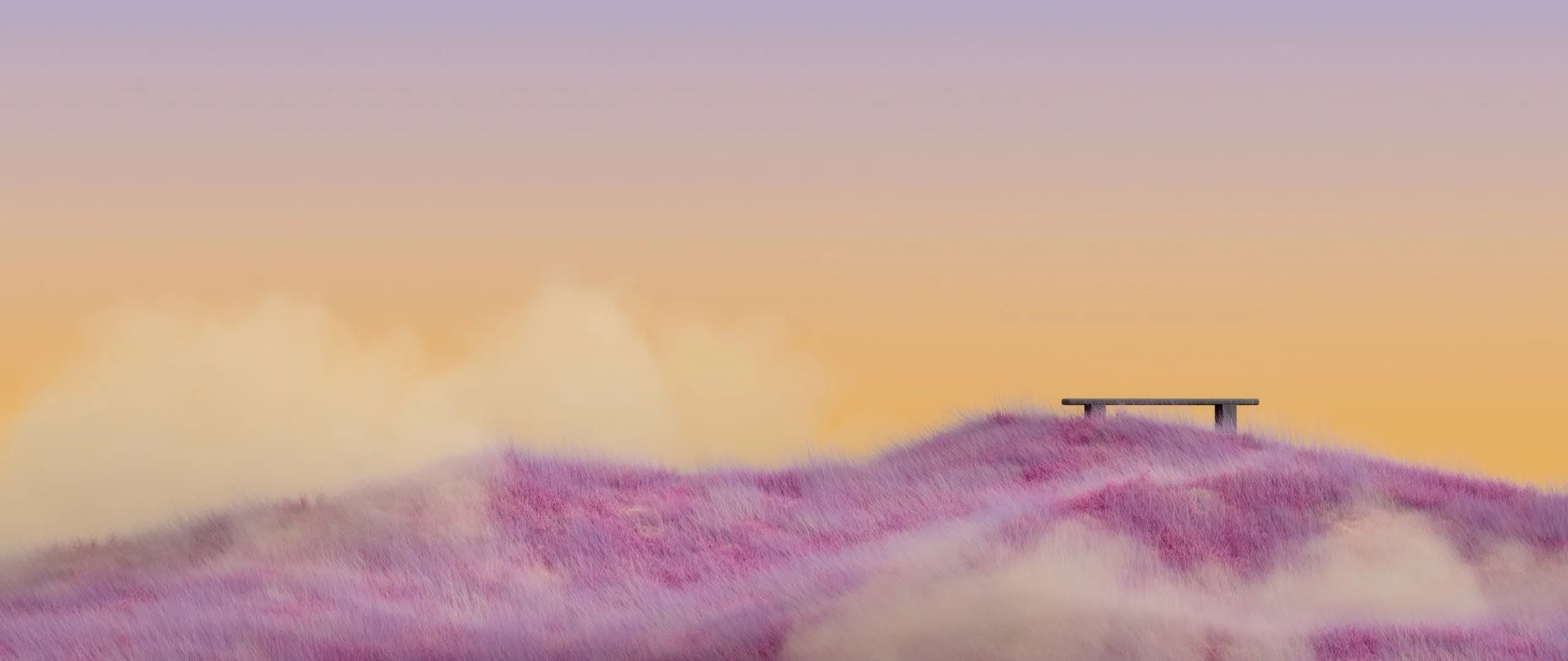 Pink grass Wallpaper 4K, Landscape, Sunset, Yellow sky