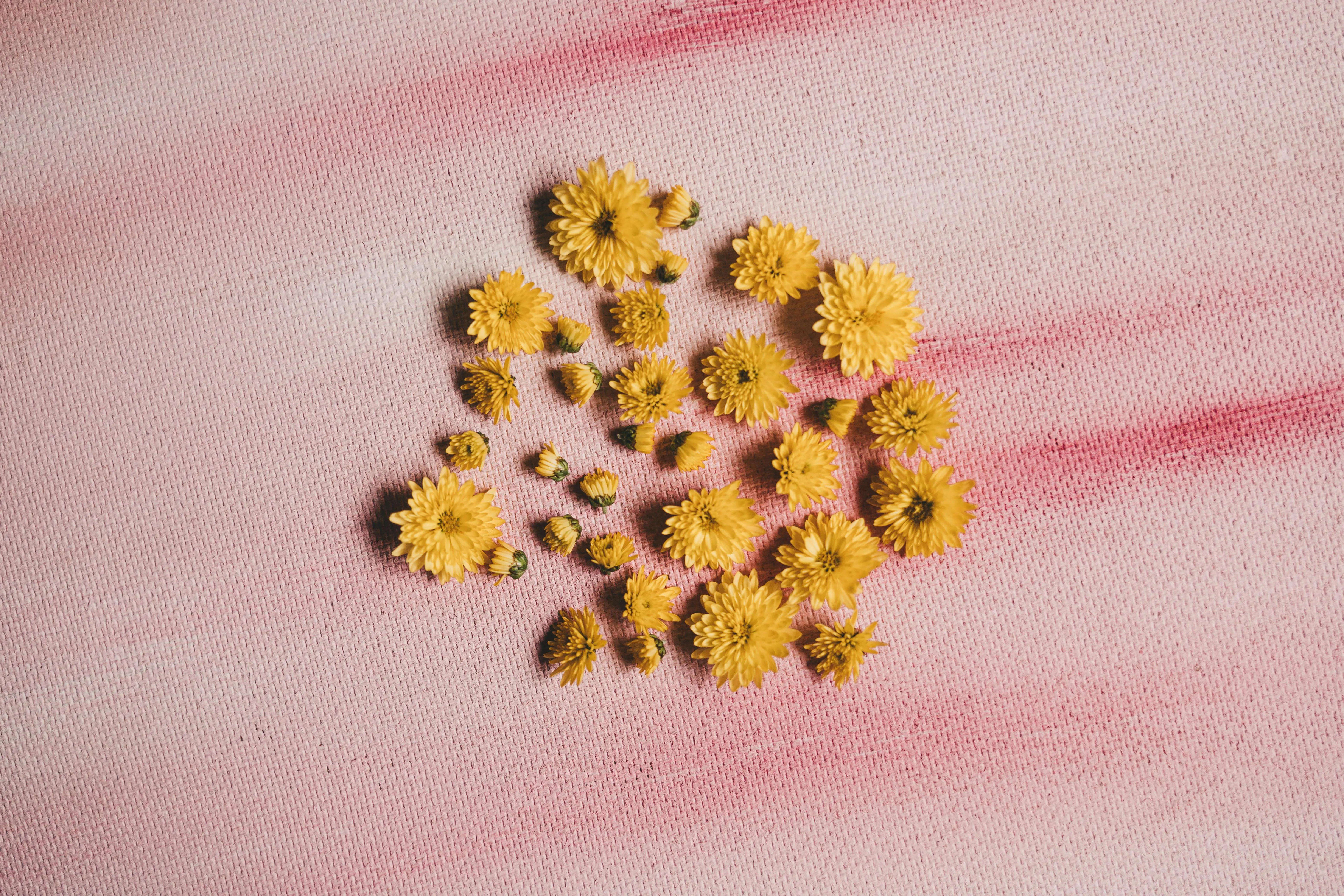 Yellow Flowers on Pink Textile · Free