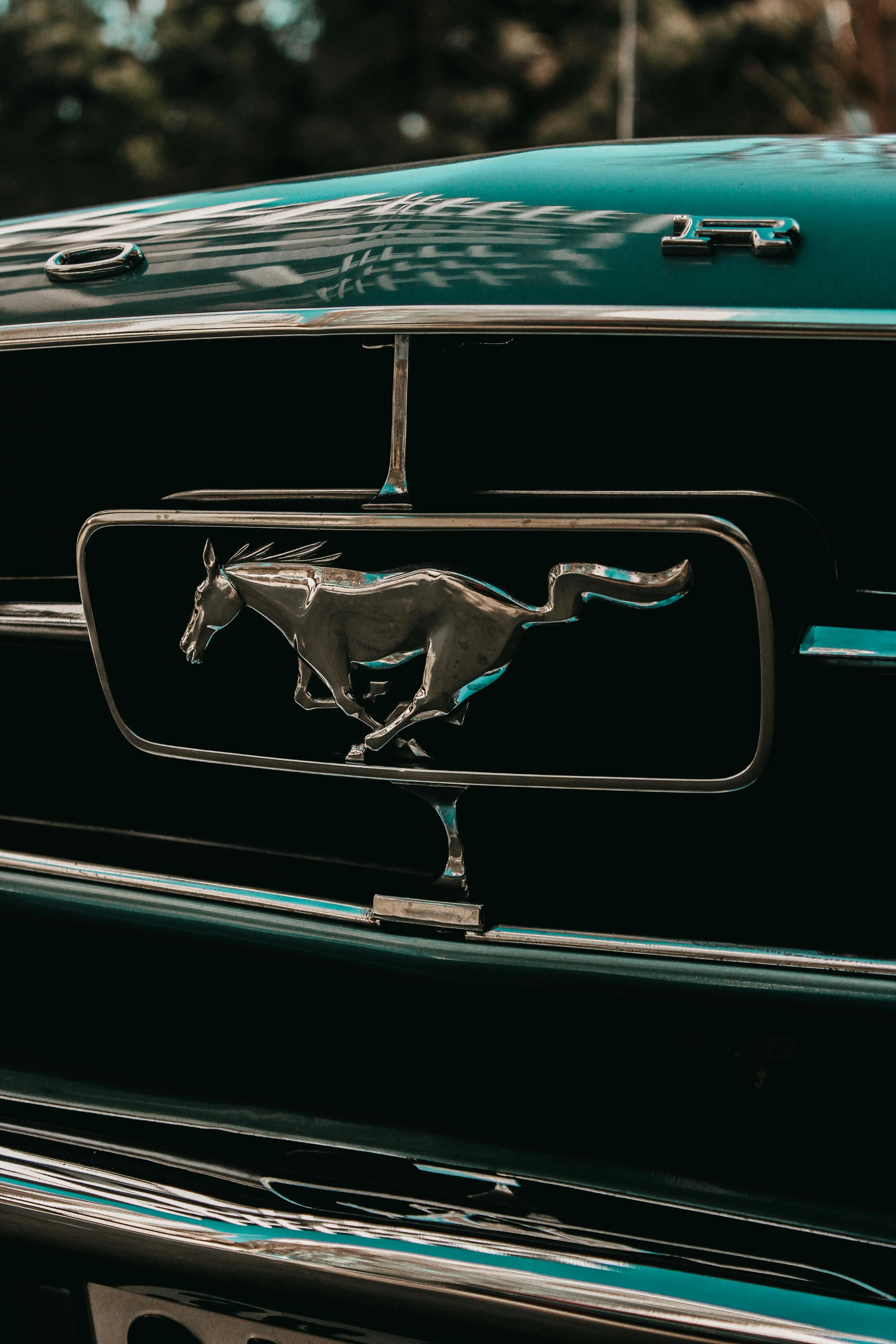 Close up of Ford Mustang Emblem · Free