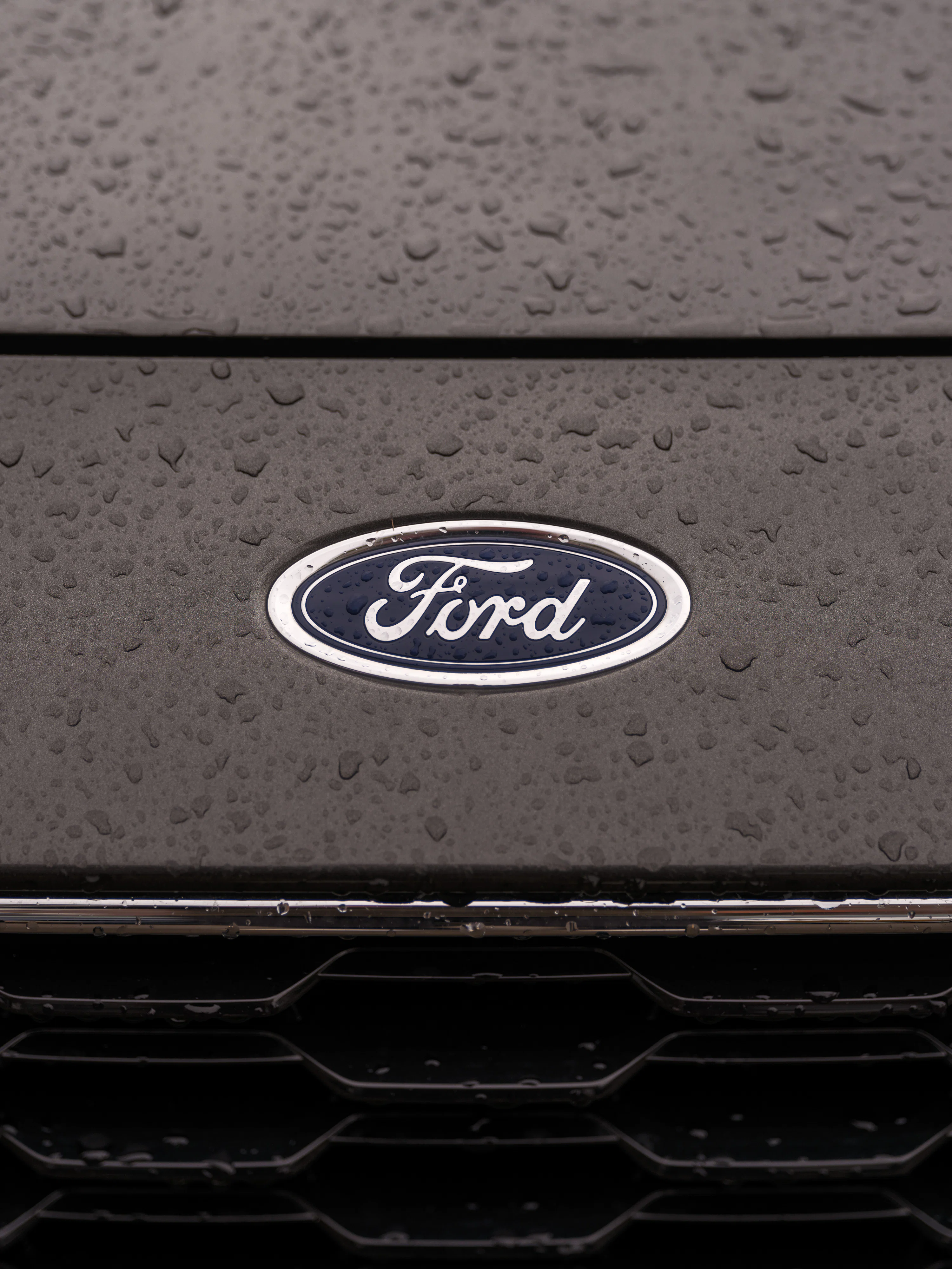 Ford Logo Picture. Download Free Image