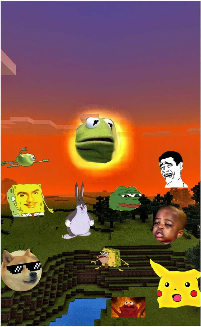 Meme Phone HD Wallpaper (100++)