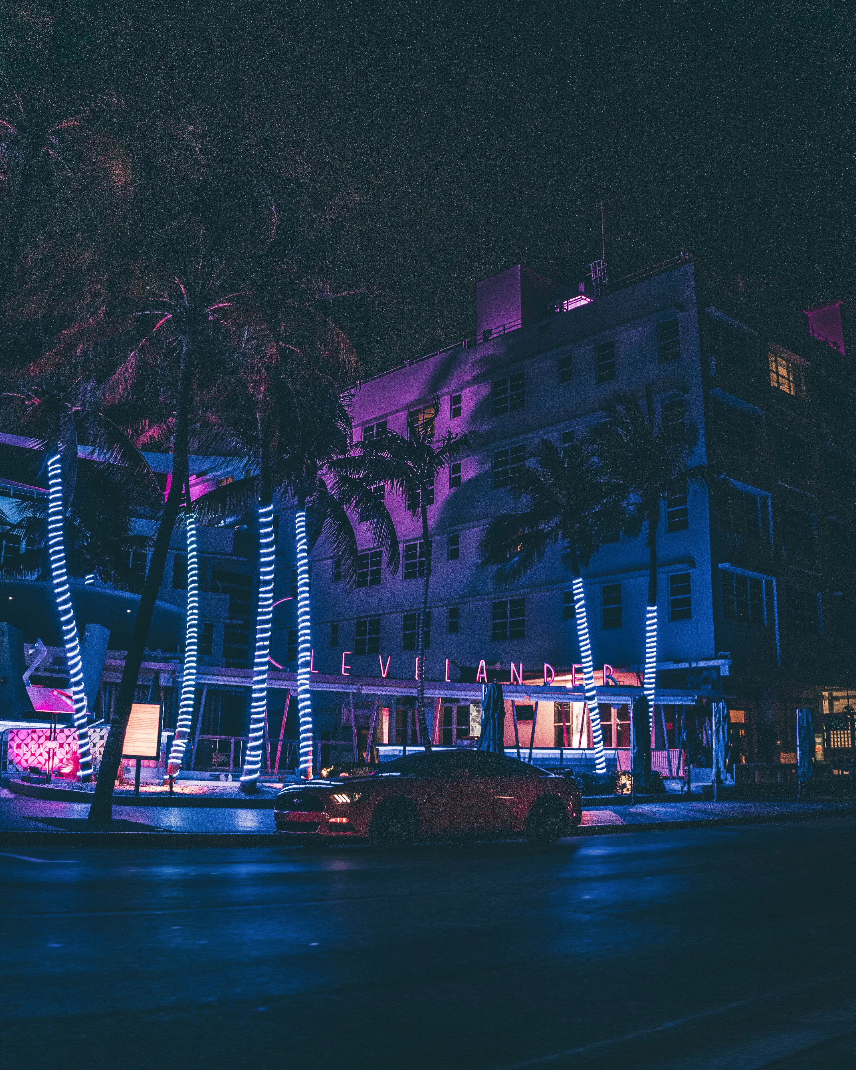 50,Miami Nights Picture. Download Free Image