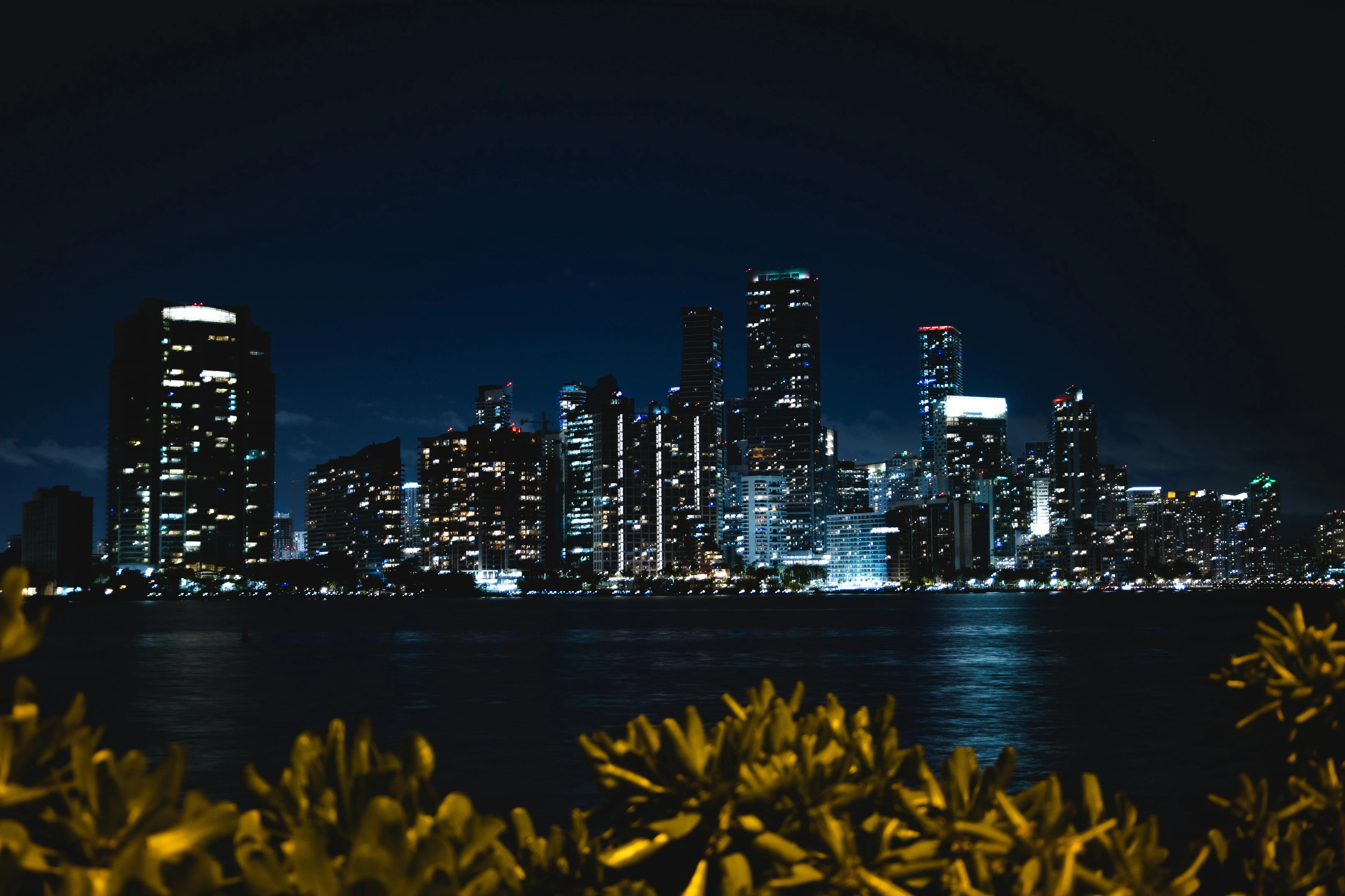 Downtown Miami Photo, Download The BEST Free Downtown Miami & HD Image