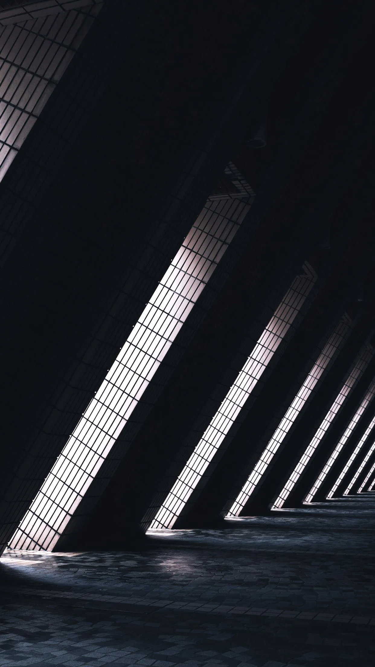nature light dark architecture