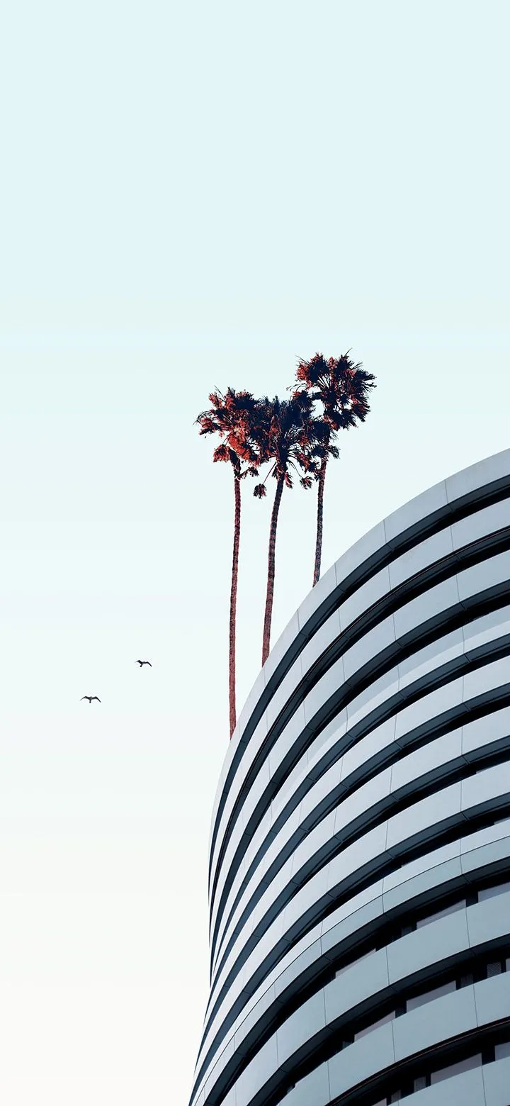 Two birds flying near minimal architecture 4K Phone Wallpaper