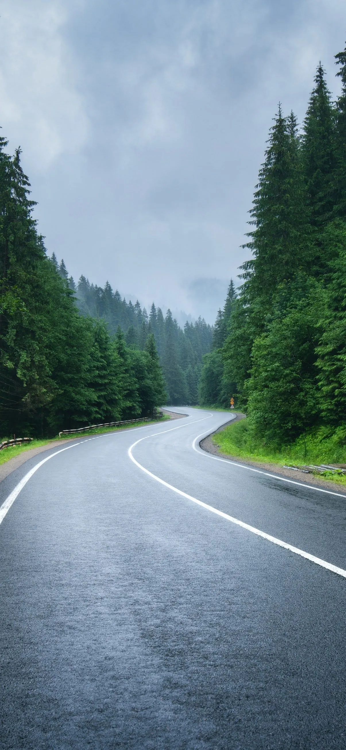 Forrest road phone wallpaper Mobile Walls