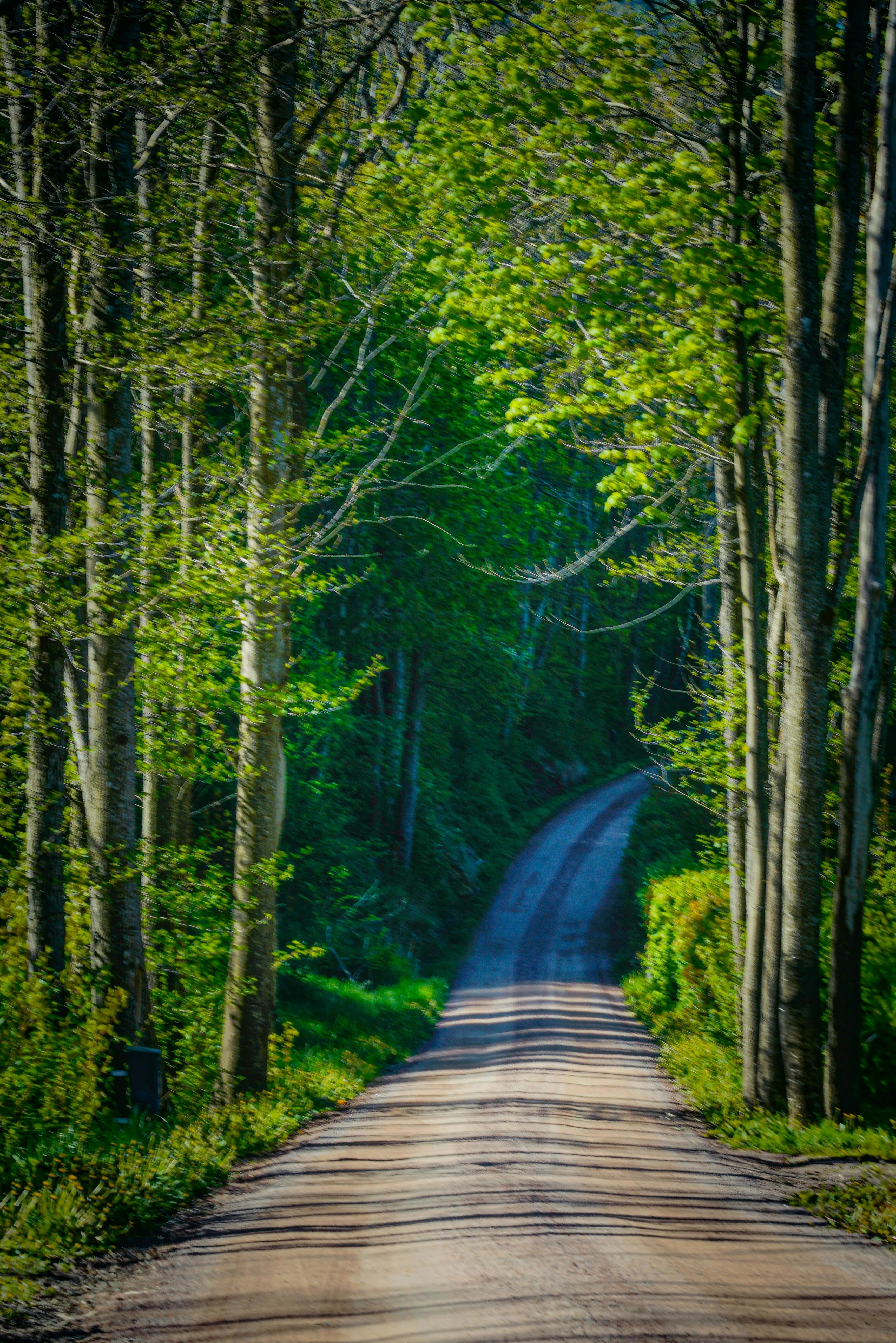 Back Roads Photo, Download The BEST Free Back Roads & HD Image