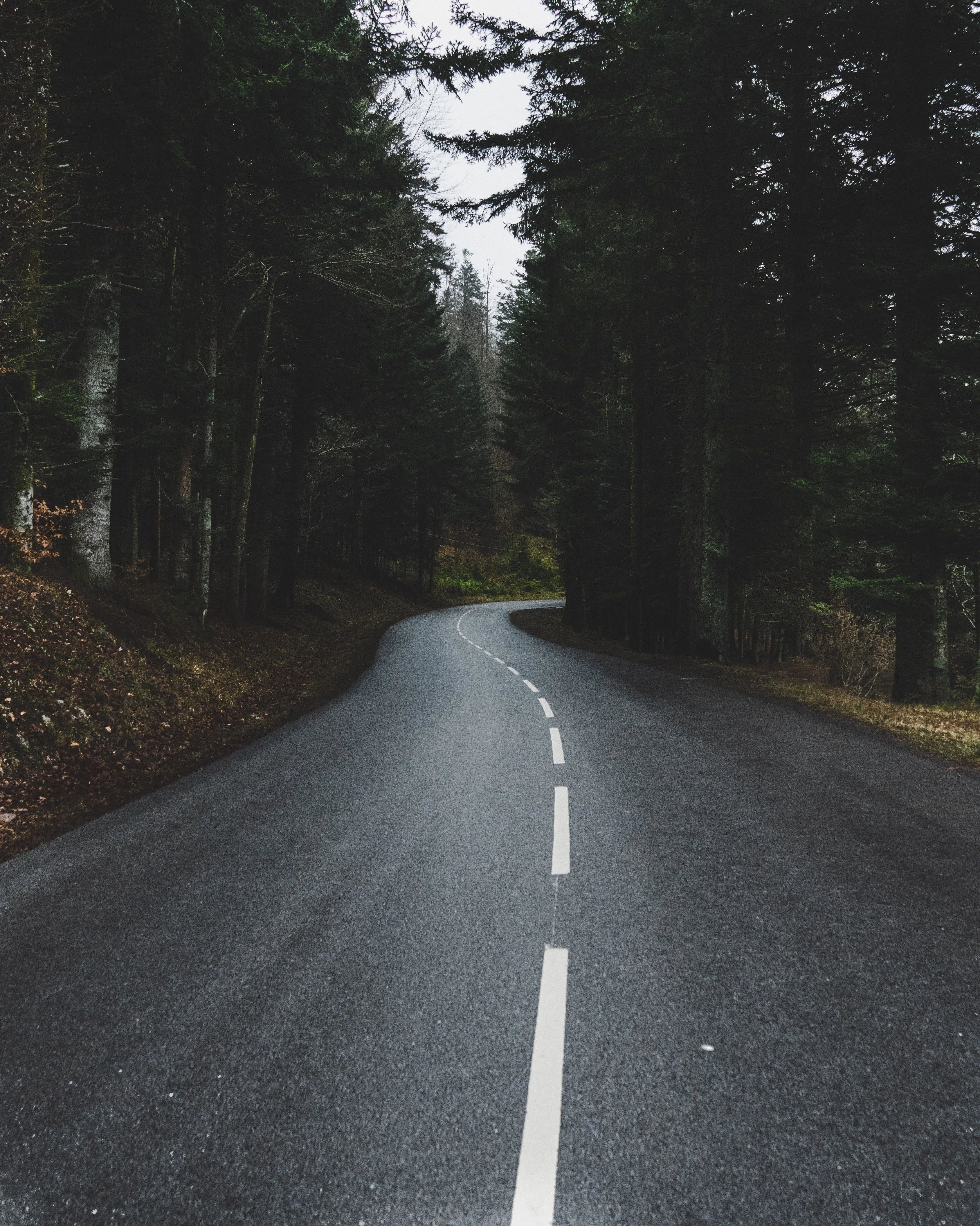 Road Phone Wallpaper: Free 4K & HD Downloads