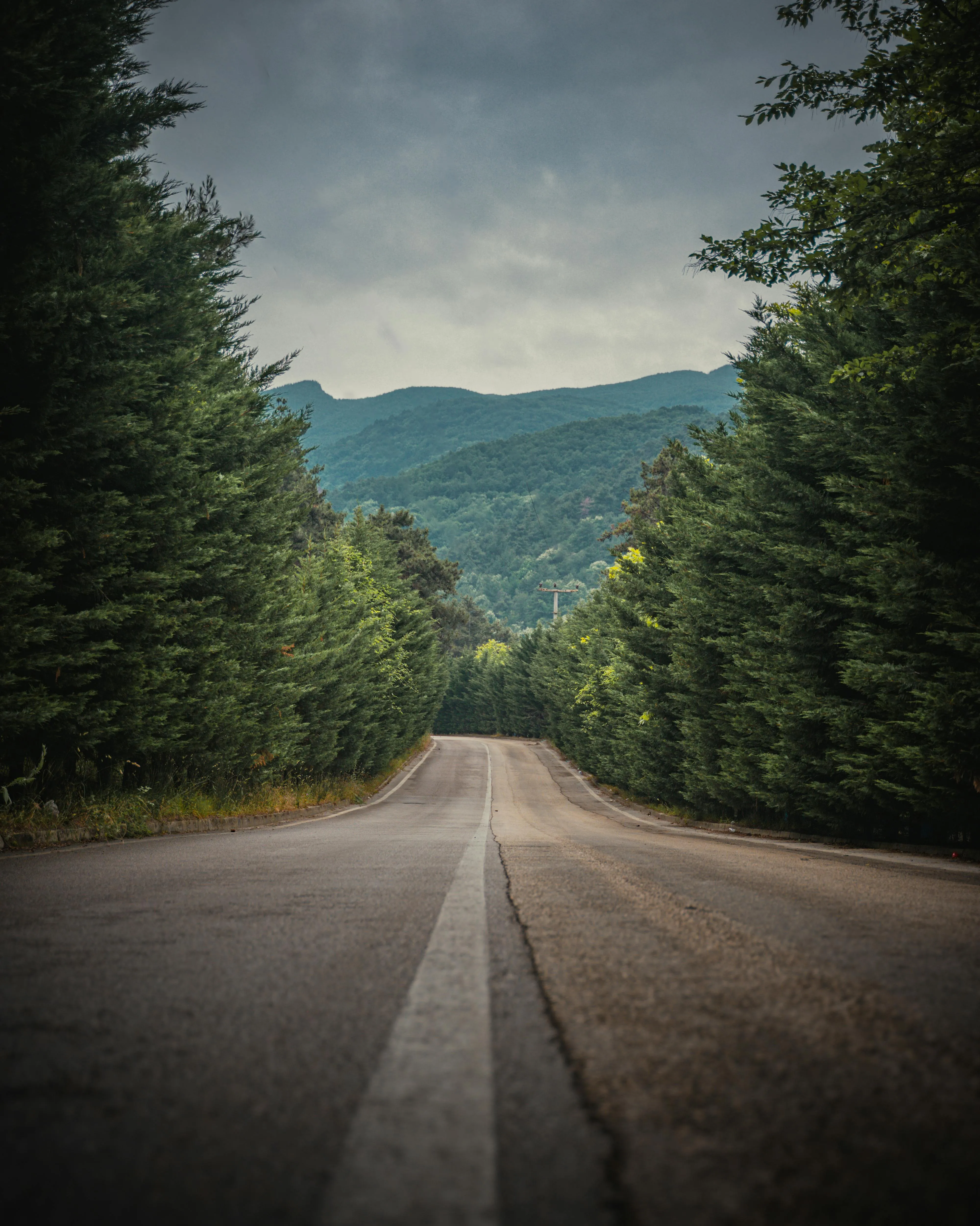 Road Background Photo, Download The BEST Free Road Background & HD Image