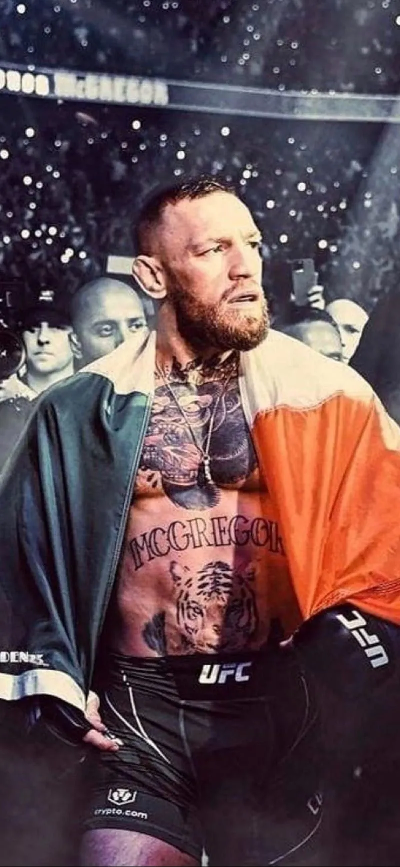 Conor McGregor, ufc, HD phone wallpaper