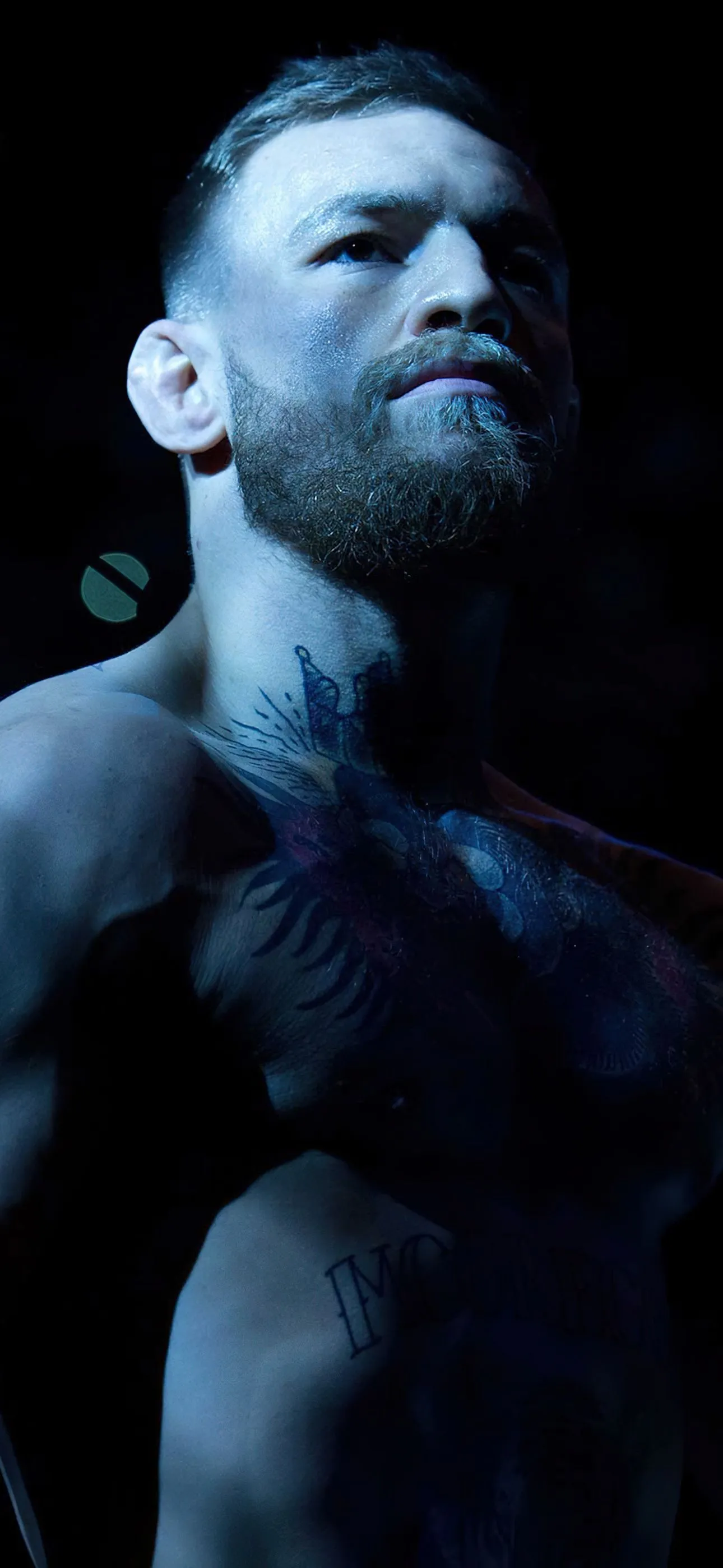 Conor McGregor Wallpaper 4K