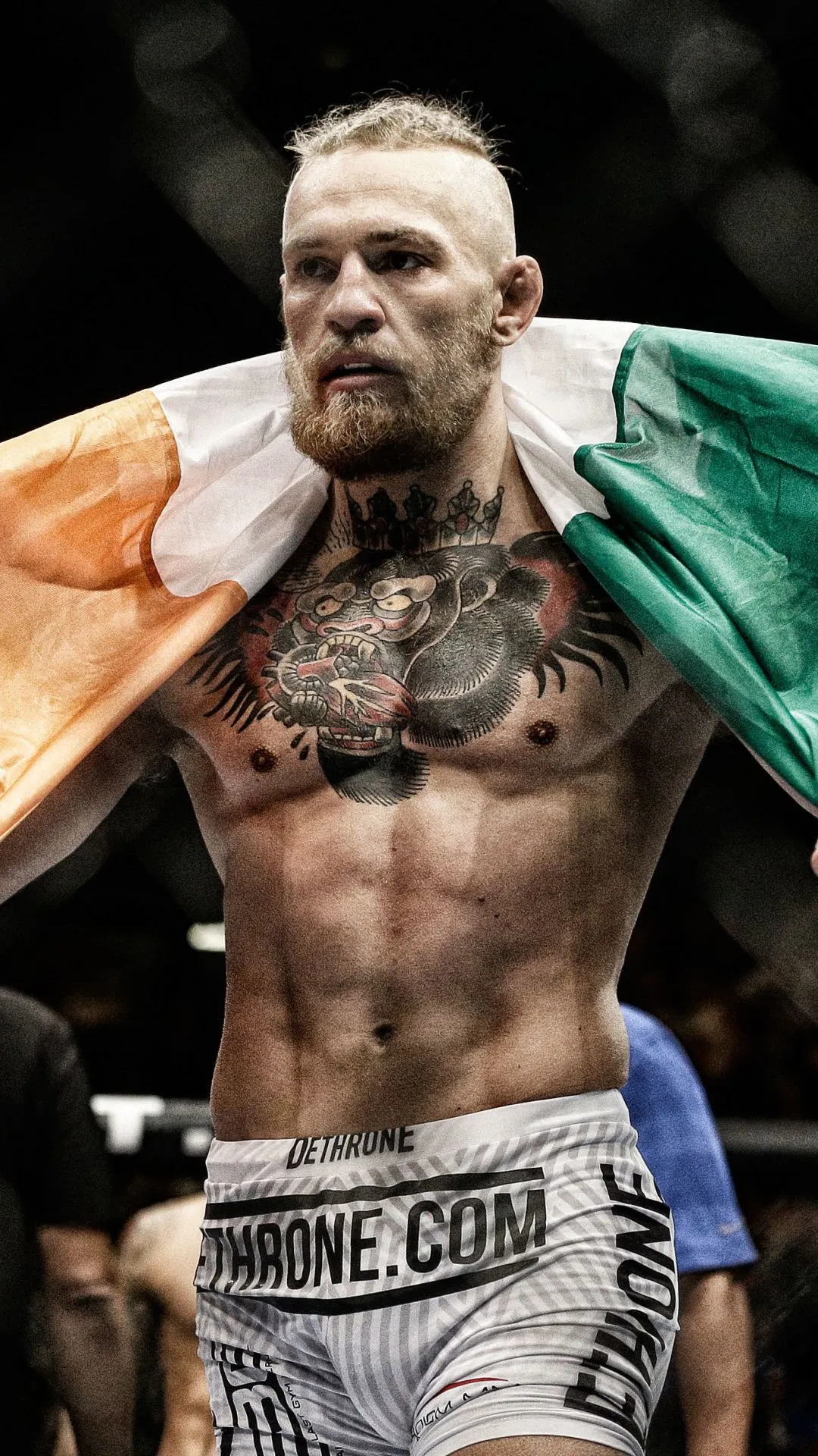 Phone wallpaper: Conor Mcgregor, Ufc, Sports 751145