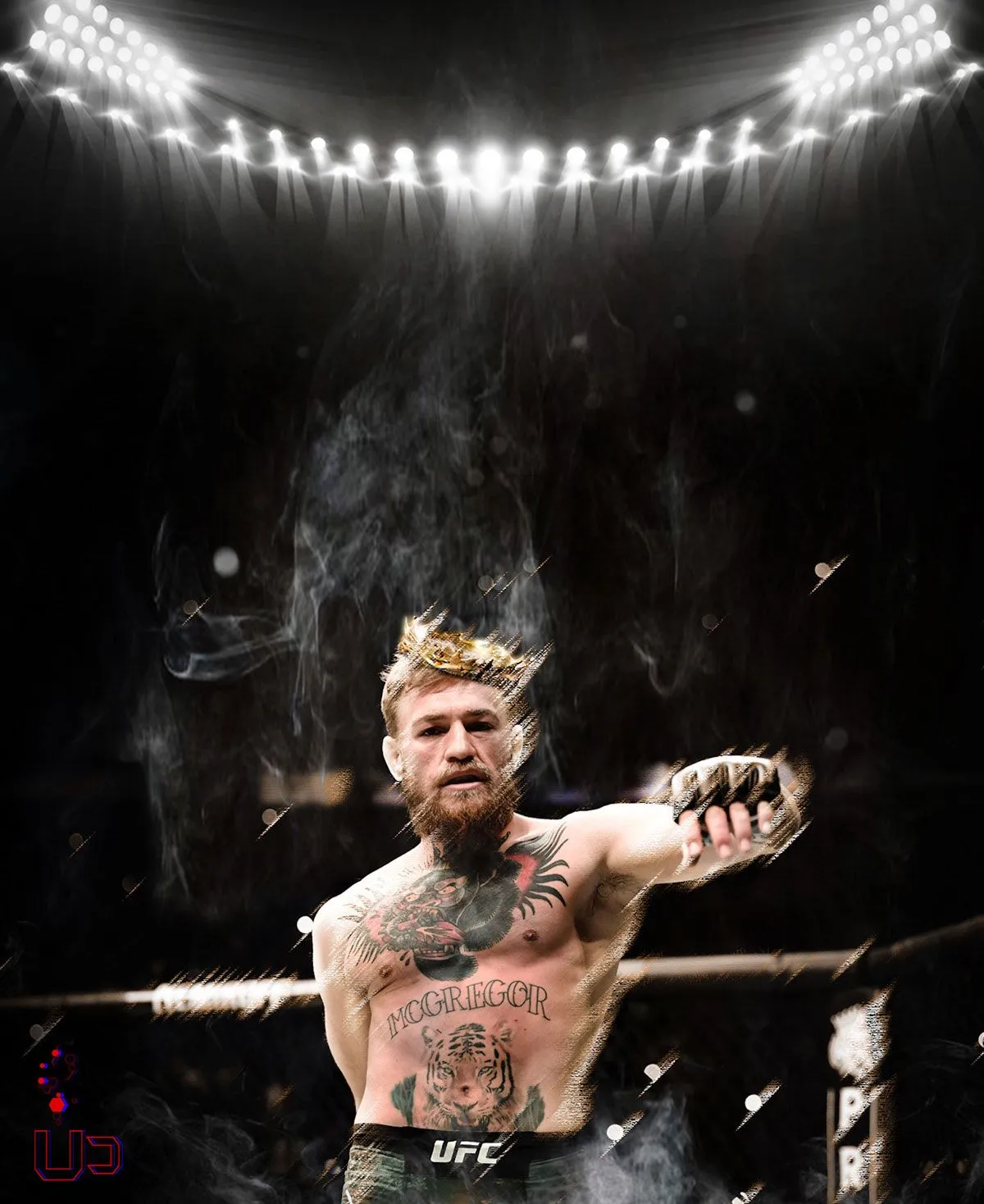 Conor Mcgregor Celebration 4k Wallpaper