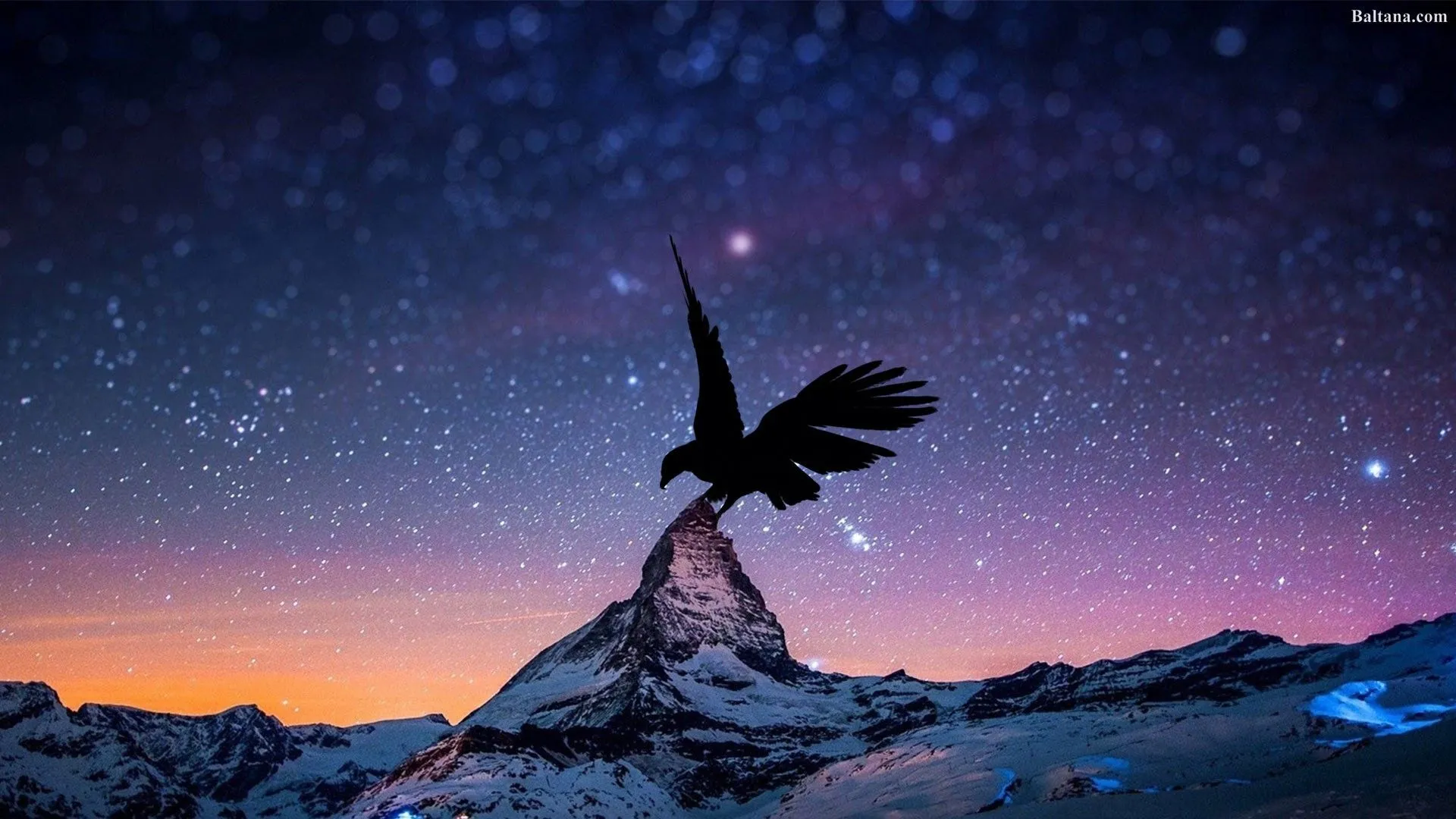Eagle HD Desktop Wallpaper 29691