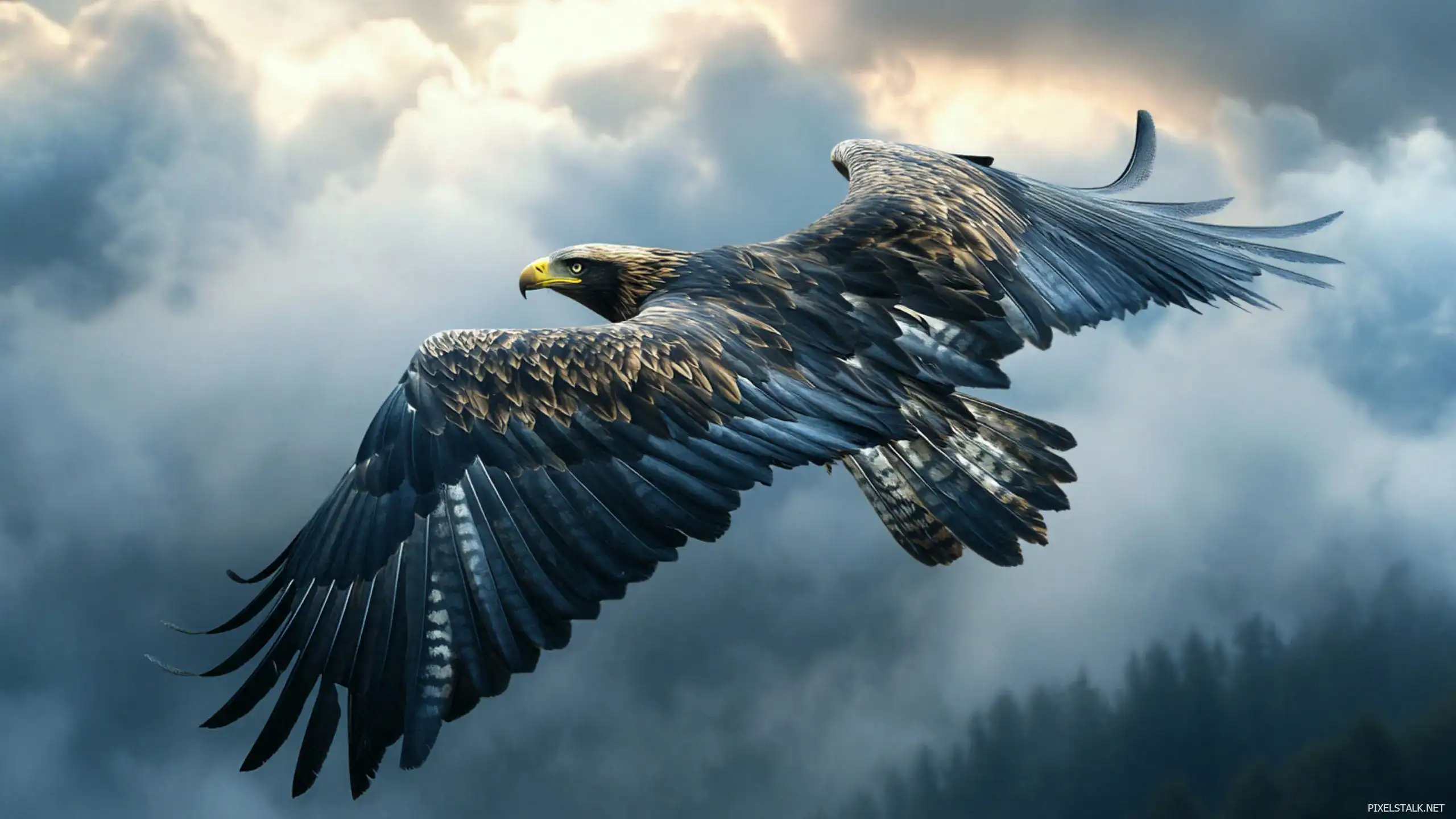 Cool Eagle Wallpaper