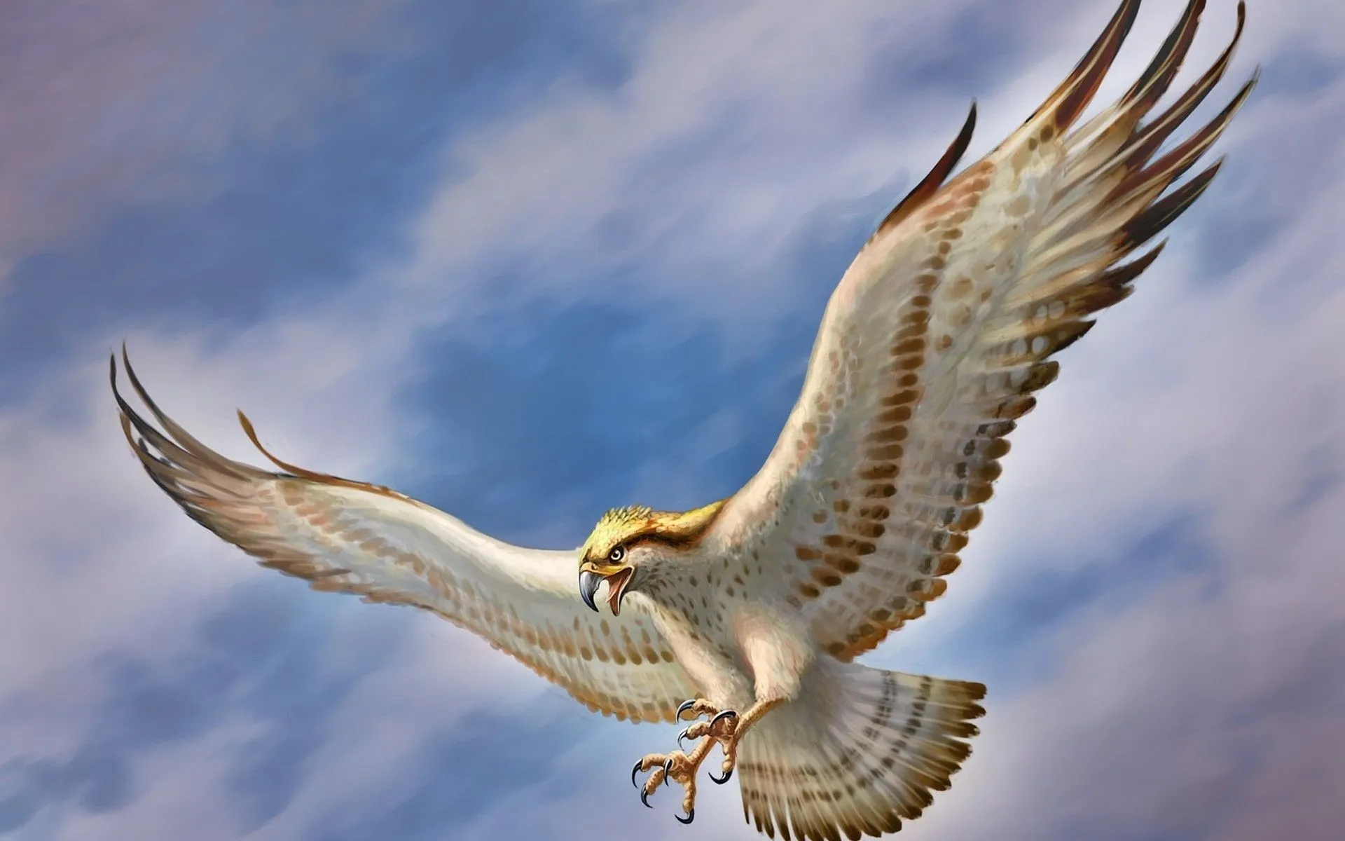 White Eagle HD Desktop Wallpaper 62277