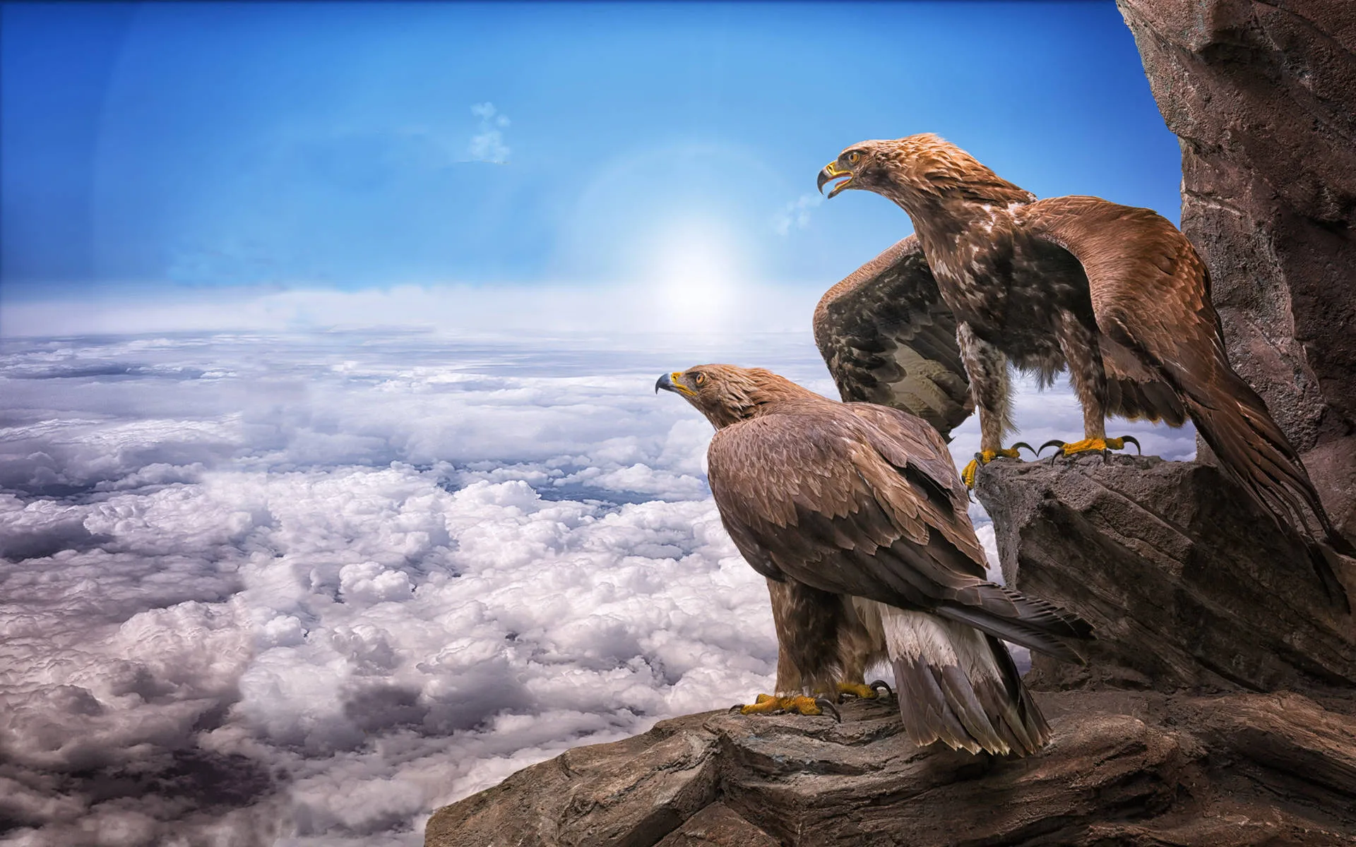 Download Eagles Resting Coolest Desktop Wallpaper