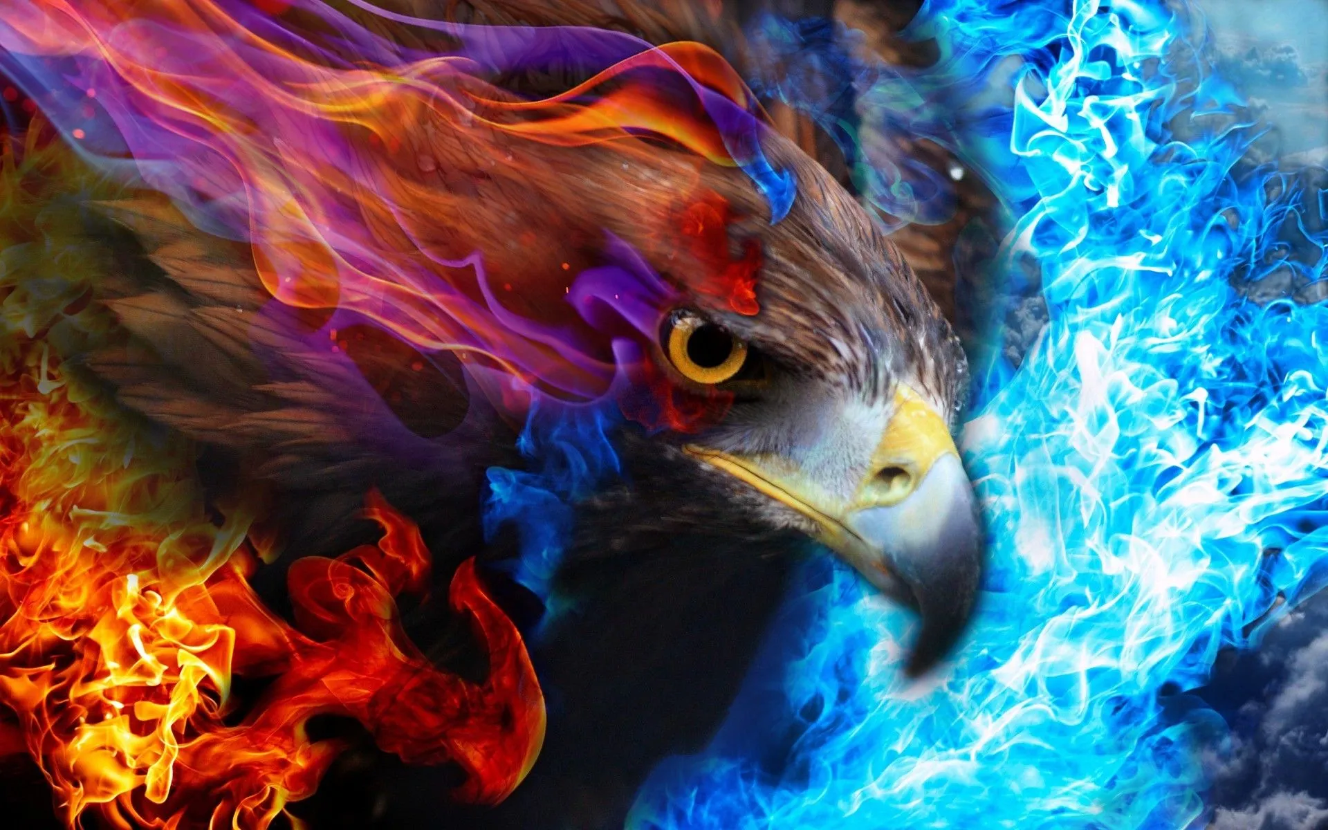 eagle fire sky Wallpaper HD / Desktop and Mobile Background