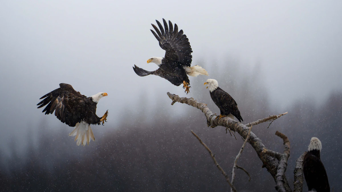 This striking image won our 'Picture of the Year' photo contest