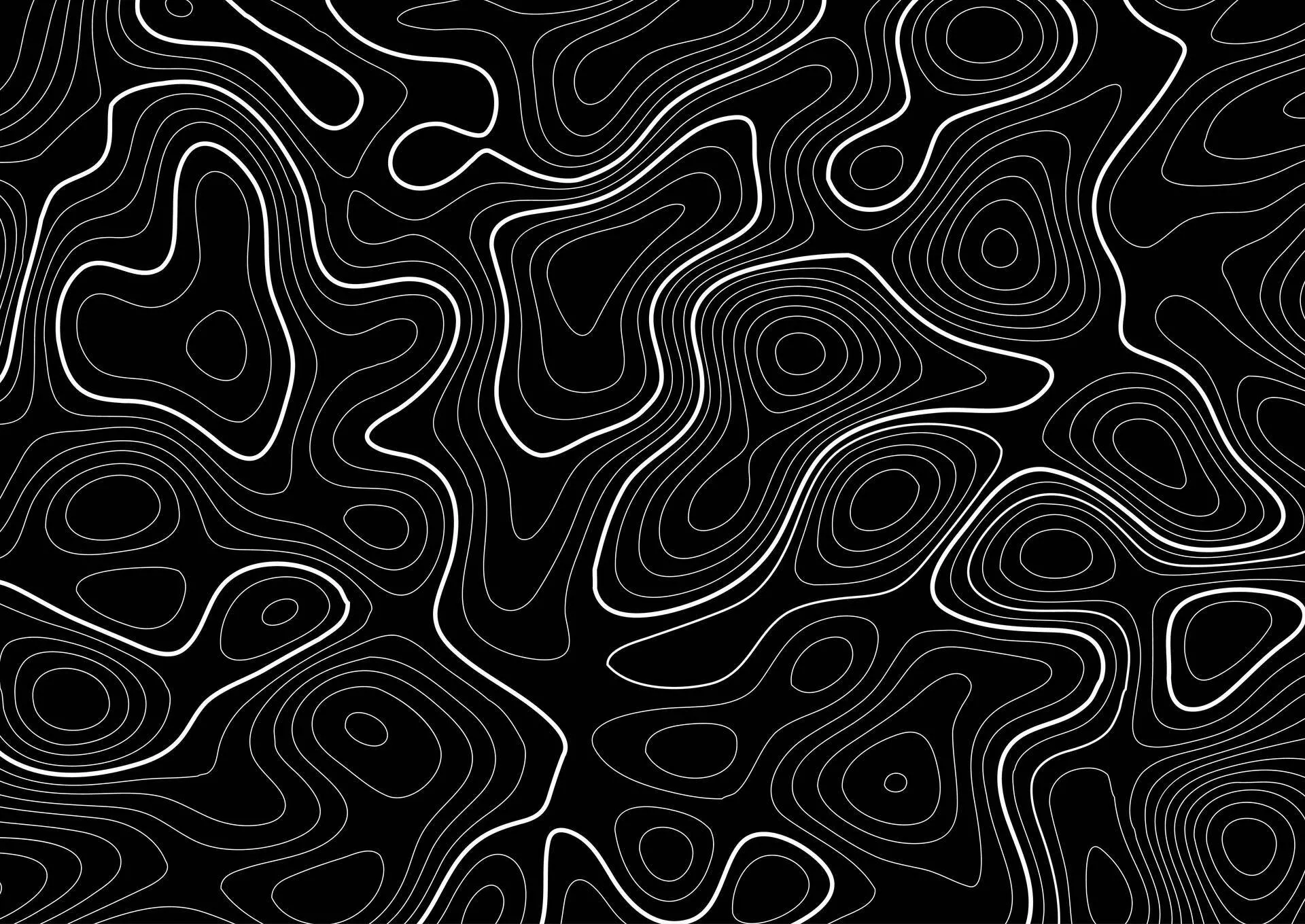 Topographical Topographic Map Showing Land Contours