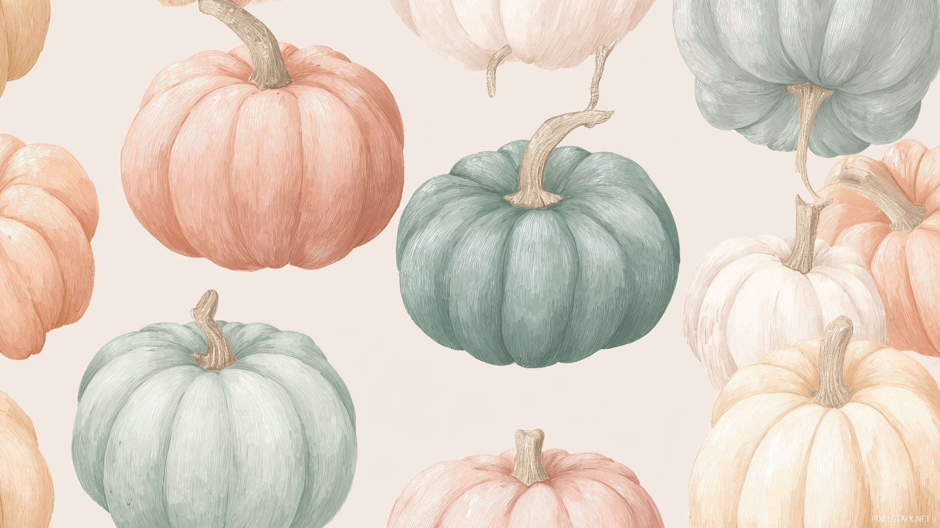 Cute Pumpkin Wallpaper for Desktop