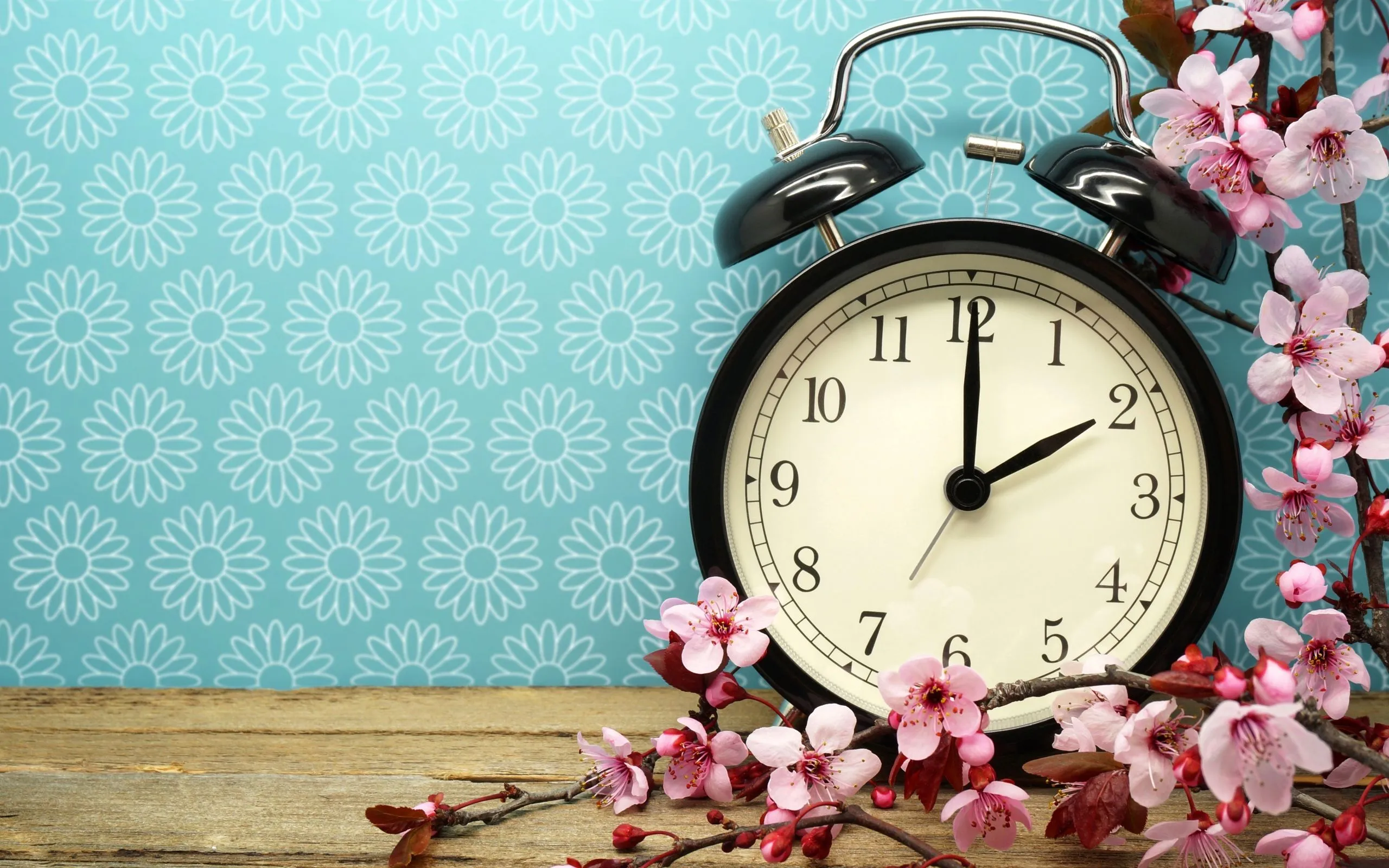 Black alarm clock on a blue background with apricot flowers Desktop wallpaper 2560x1600
