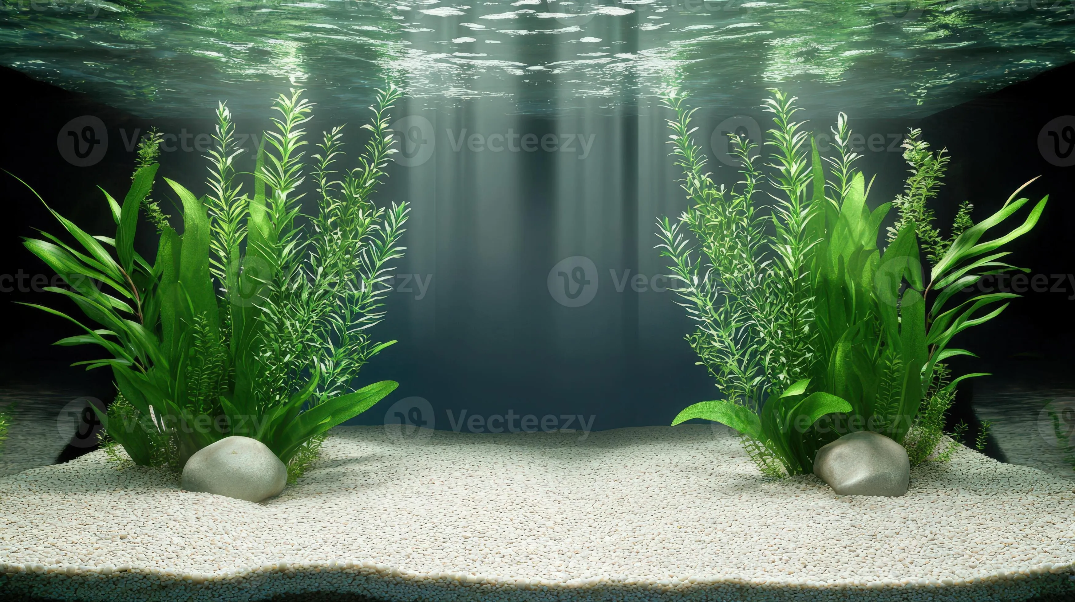 Aquarium background with plants and water